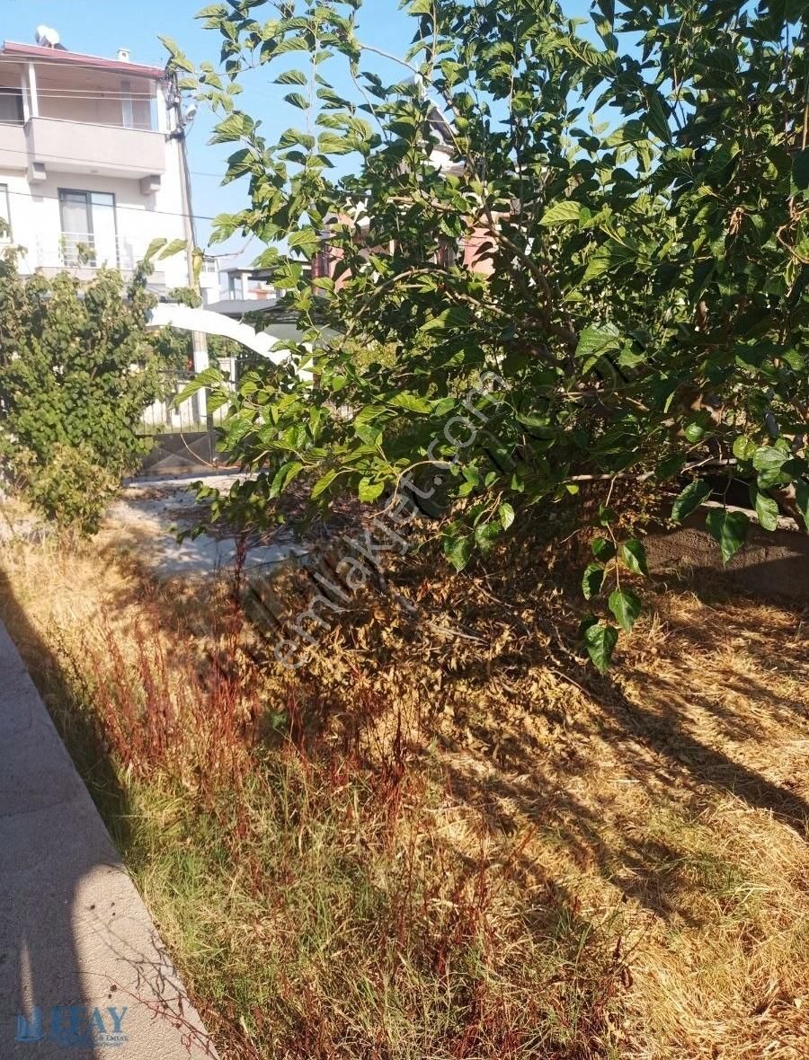 Geniş Ve Büyük Bahçeli Villa - Görsel 4