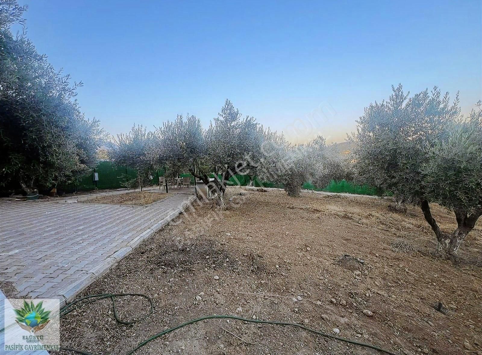 Pasifikten Buca Belenbaşında 650 M² Tek Tapu Fırsat Tarla - Görsel 7