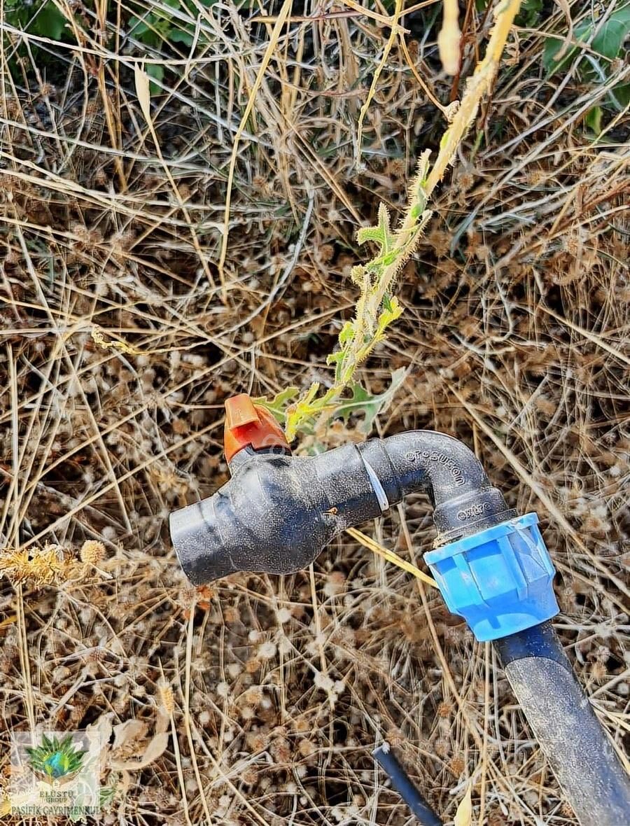 Pasifikten Menderes Yeniköyde 260 M² Harika Bahçe - Görsel 6