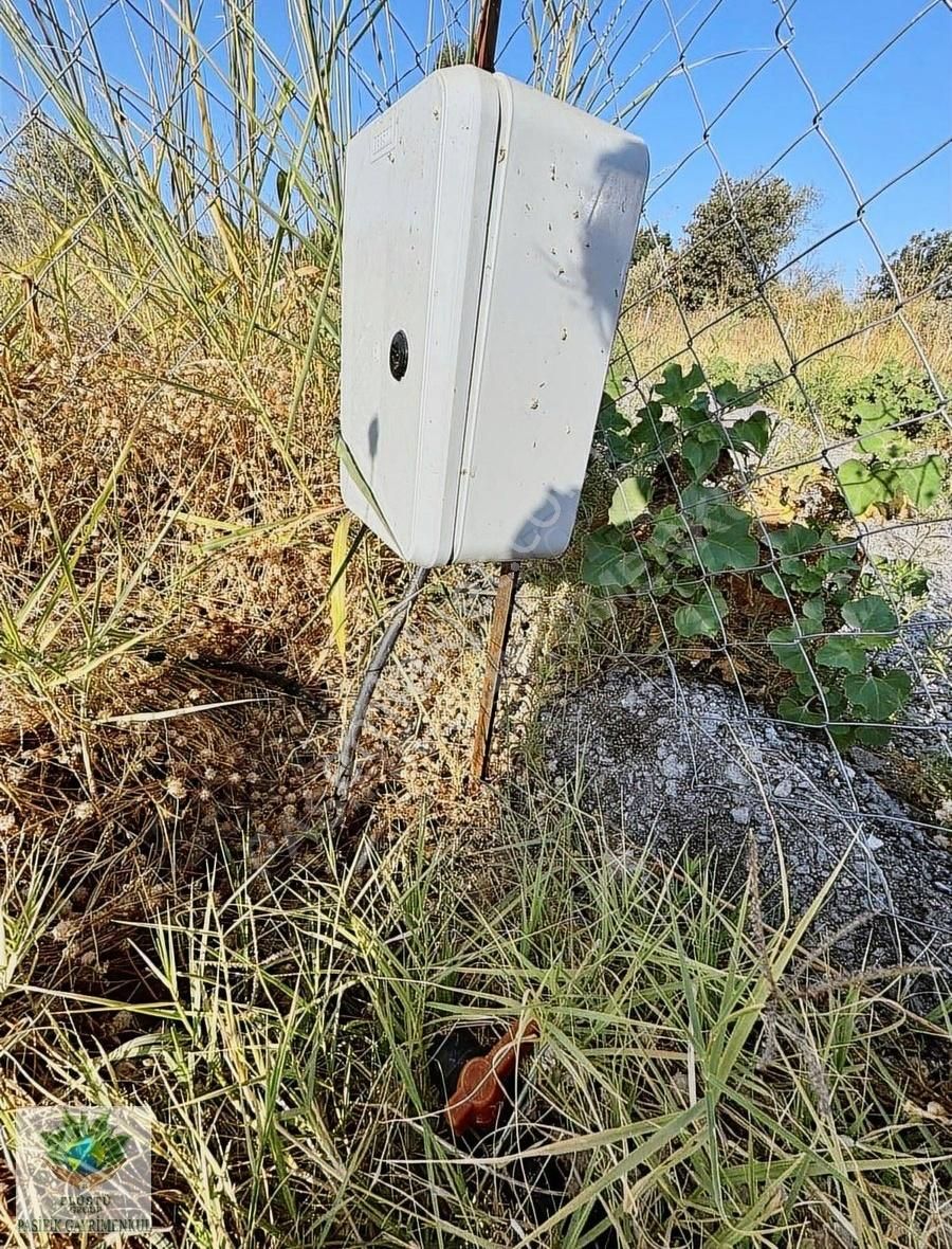 Pasifikten Menderes Yeniköyde 260 M² Harika Bahçe - Görsel 2