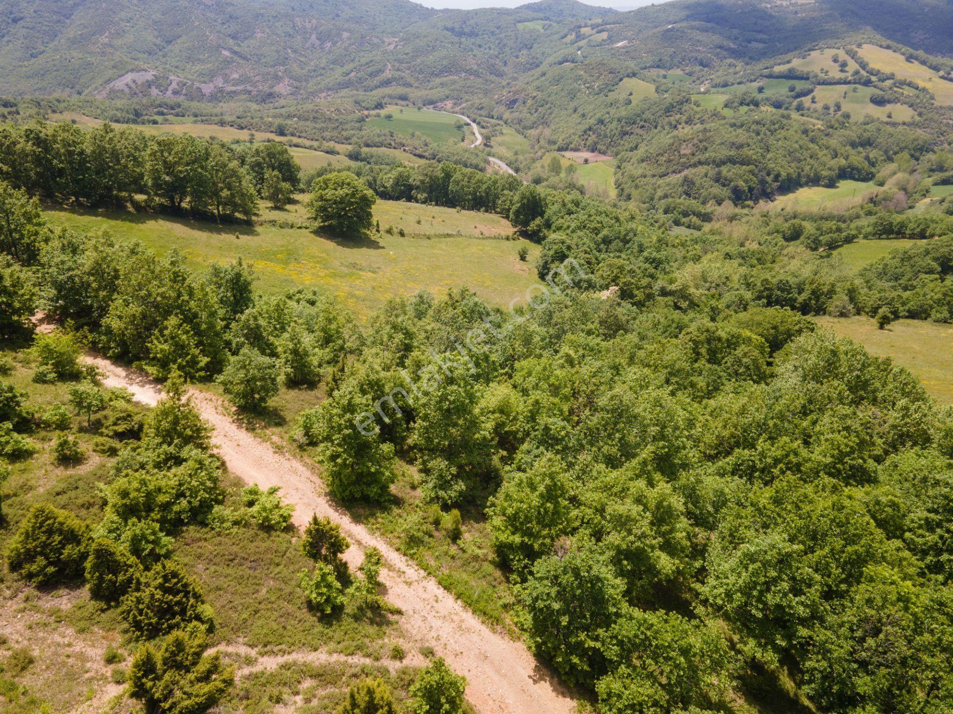Çanakkale Lapseki'de Köye Yakın Yola Cephe 683 M² Tarla - Görsel 2