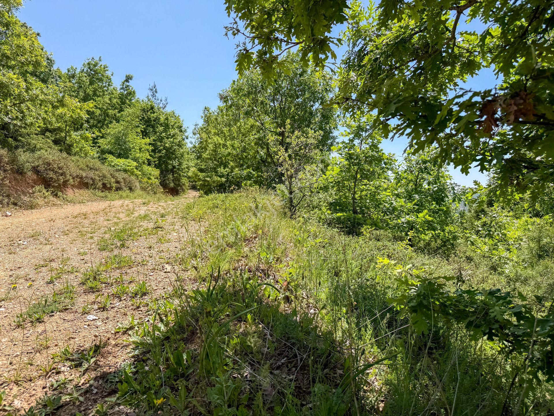 Çanakkale Lapseki'de Köye Yakın Yola Cephe 683 M² Tarla - Görsel 23
