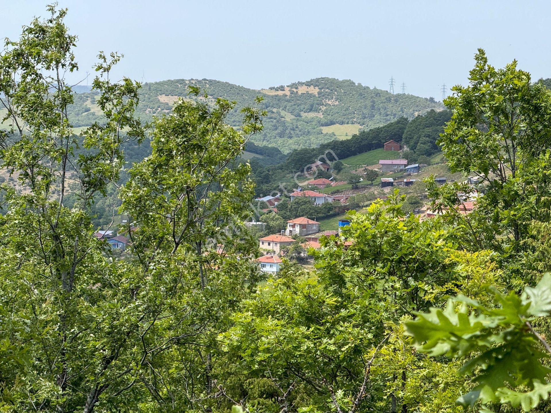 Çanakkale Lapseki'de Köye Yakın Yola Cephe 683 M² Tarla - Görsel 29