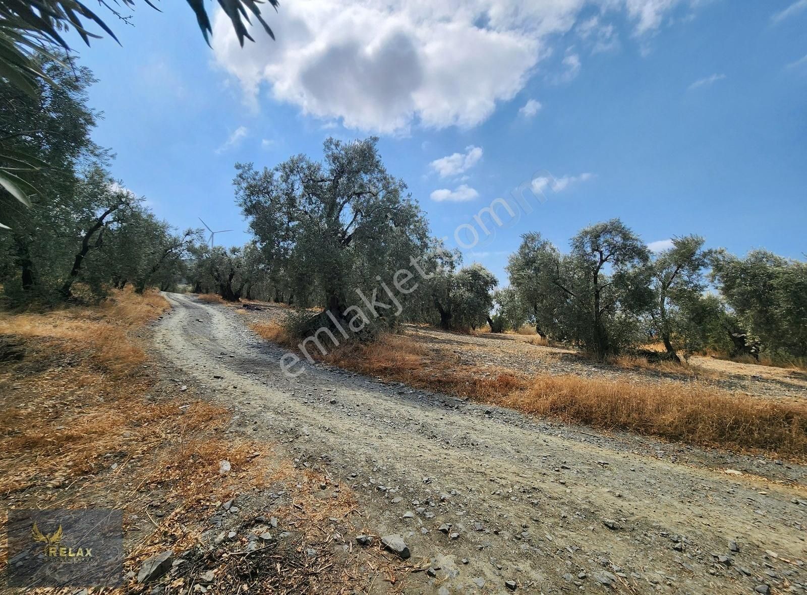 Edincik Mah Yola Cephe 3,900 M2 Deniz Manzaralı Zeytinlik - Görsel 3