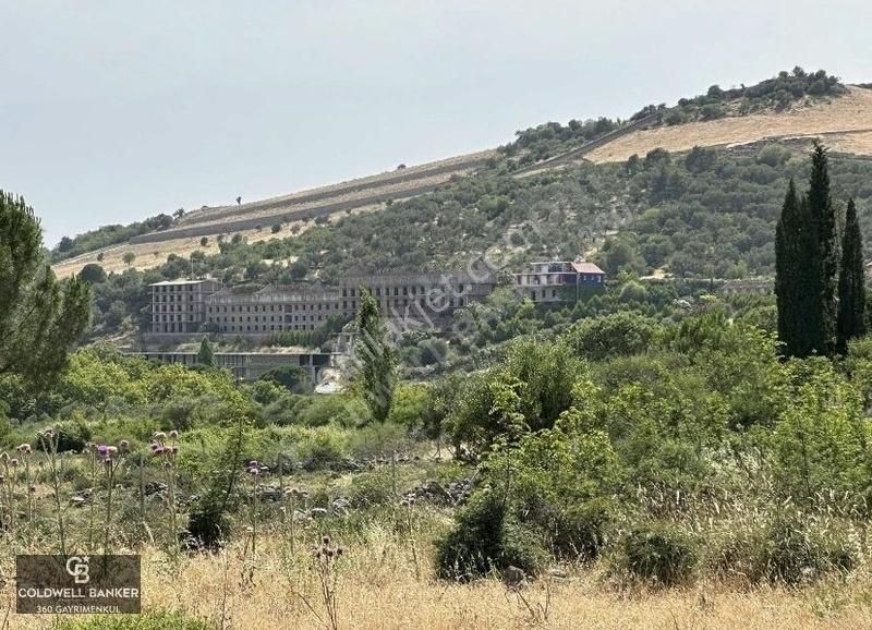 Dikili Kıroba'da Rıza-i Taksimleri Yapılmış 502m² Hisseli Tarla - Görsel 3