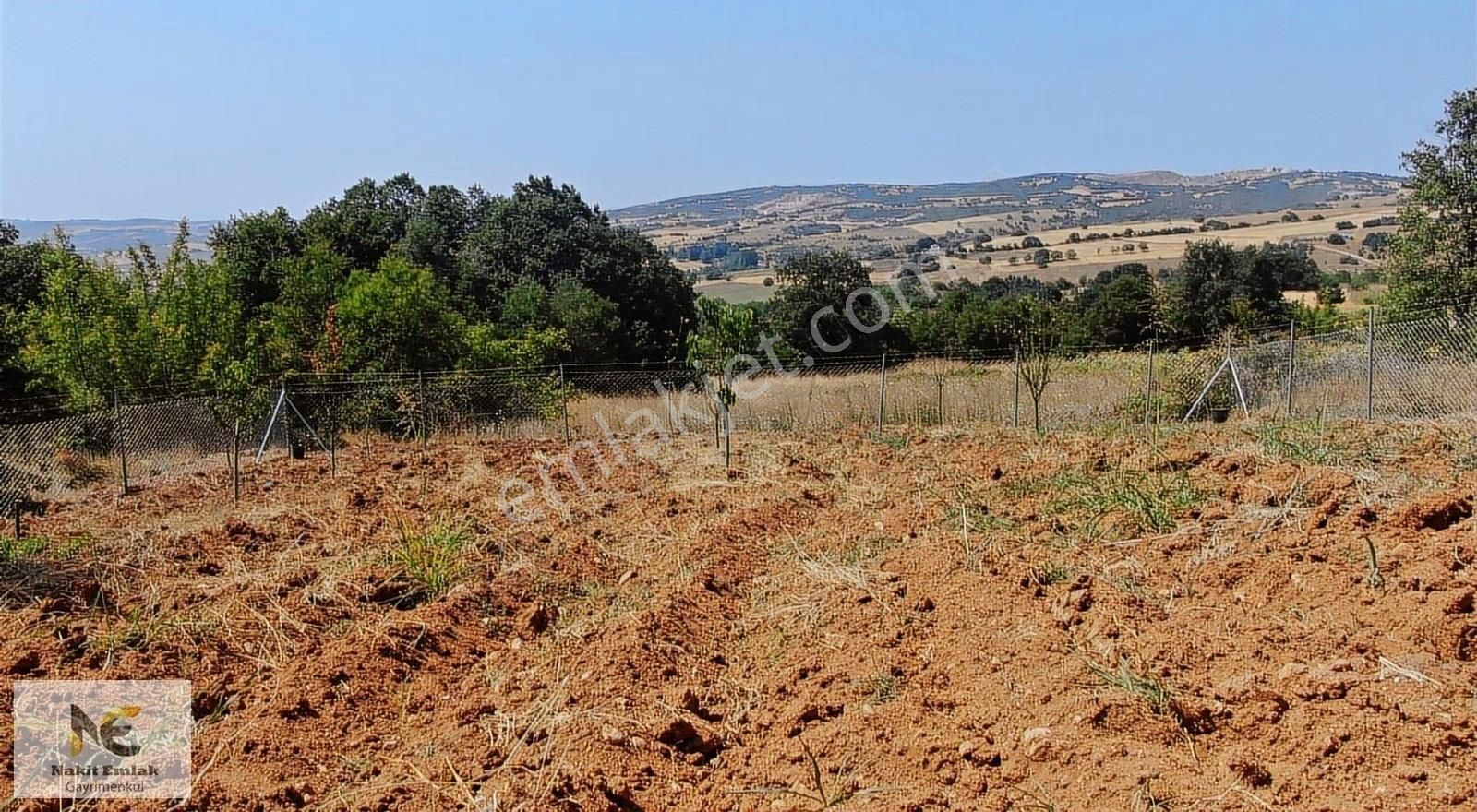 İnegöl Kozluca'da 694 M² Tek Tapulu Hobi Bahçesi - Görsel 20