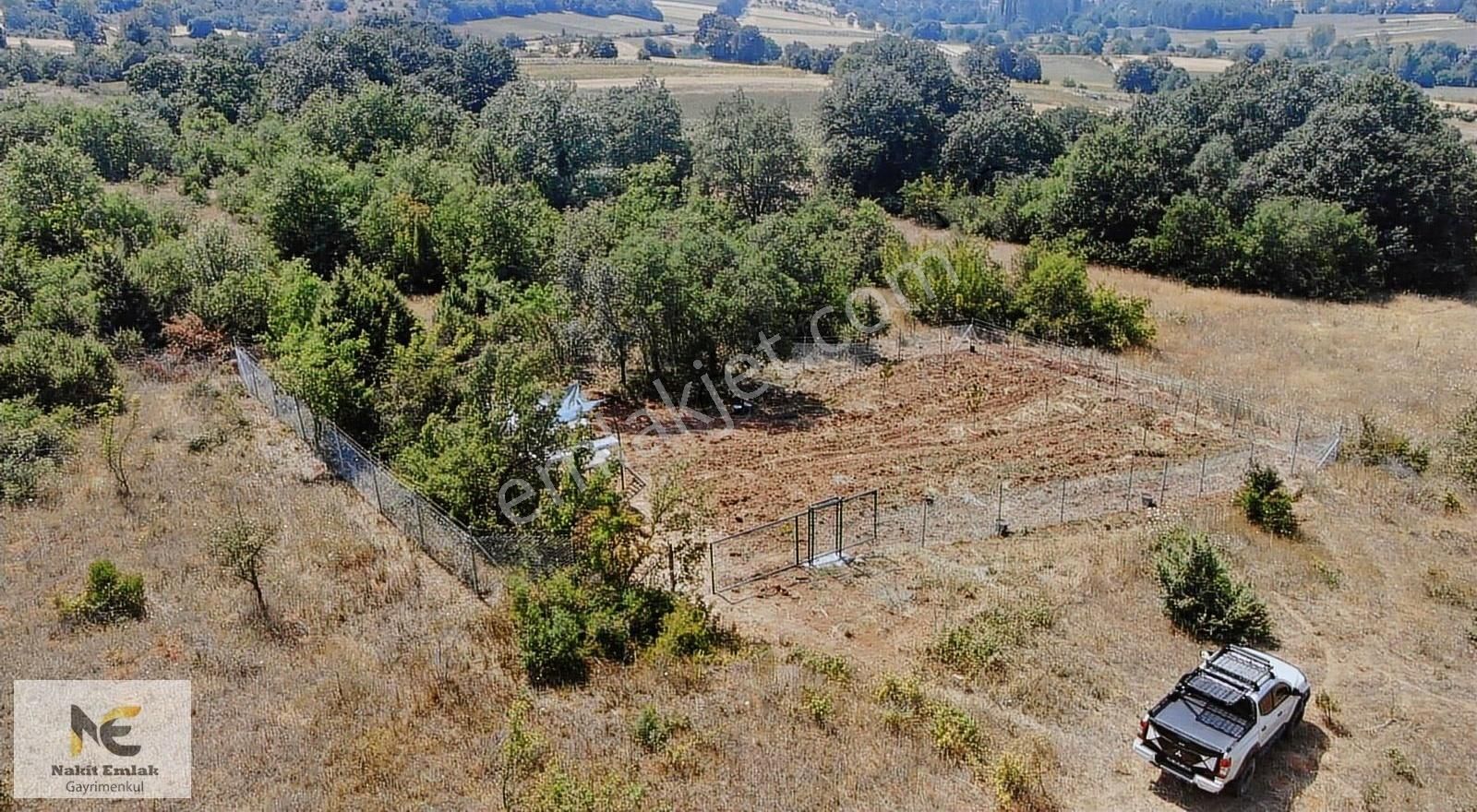 İnegöl Kozluca'da 694 M² Tek Tapulu Hobi Bahçesi - Görsel 5