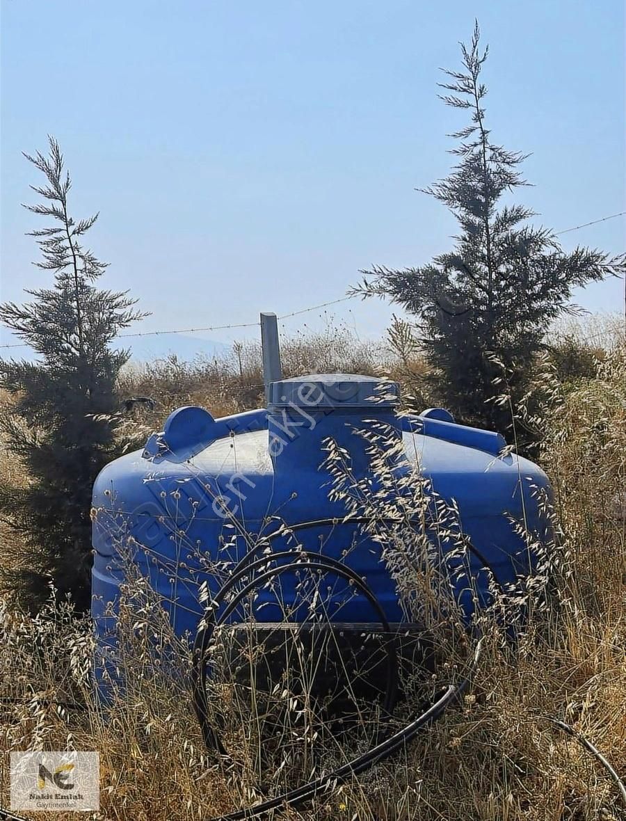 Asfalt'a 22m Cepheli Tel Örgülü 2333m2 Ceviz Bahçesi İnegöl 15dk - Görsel 7