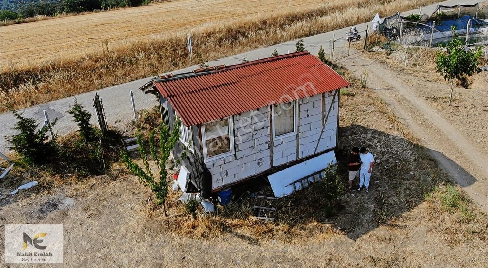 Asfalt'a 22m Cepheli Tel Örgülü 2333m2 Ceviz Bahçesi İnegöl 15dk - Görsel 20