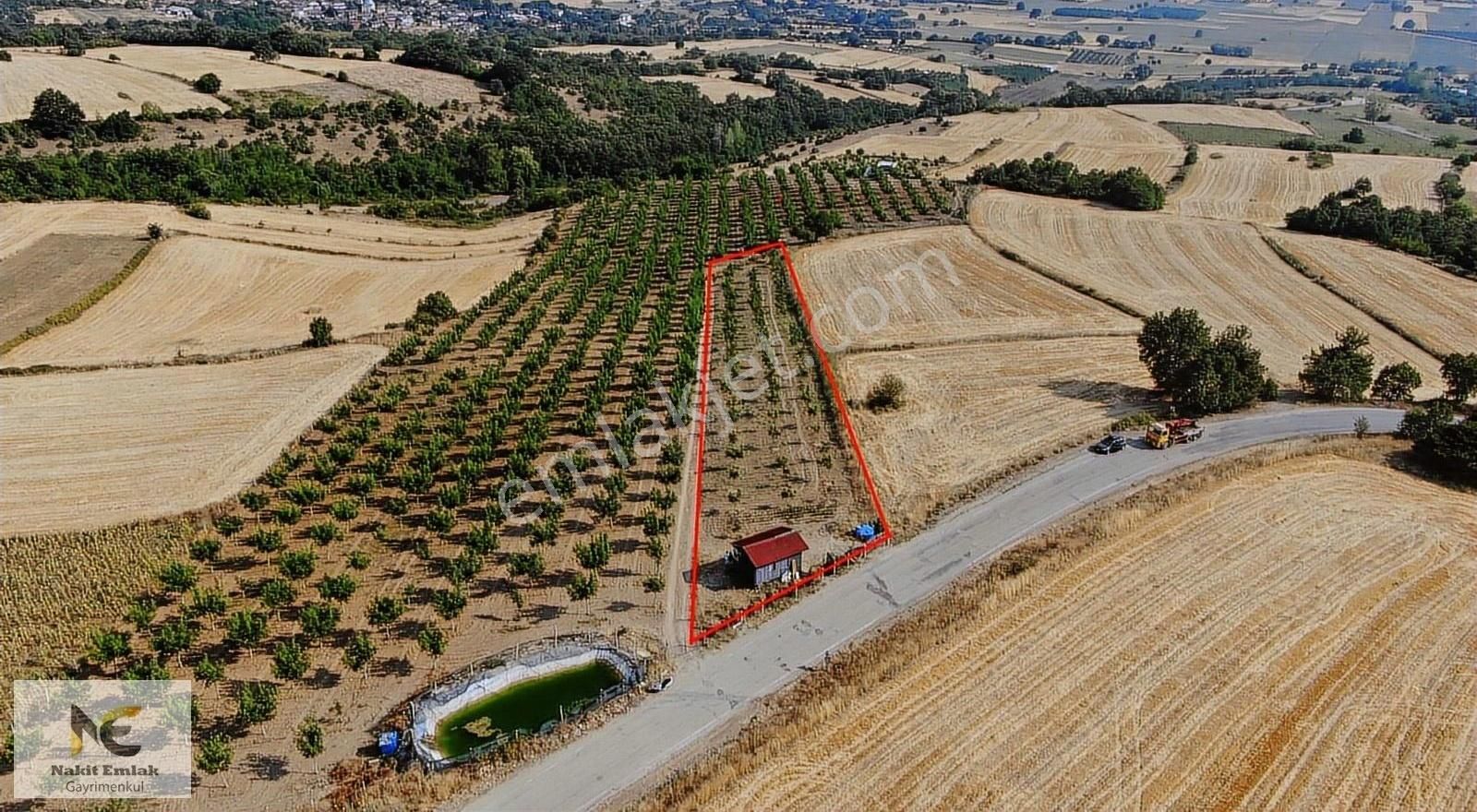 Asfalt'a 22m Cepheli Tel Örgülü 2333m2 Ceviz Bahçesi İnegöl 15dk - Görsel 26