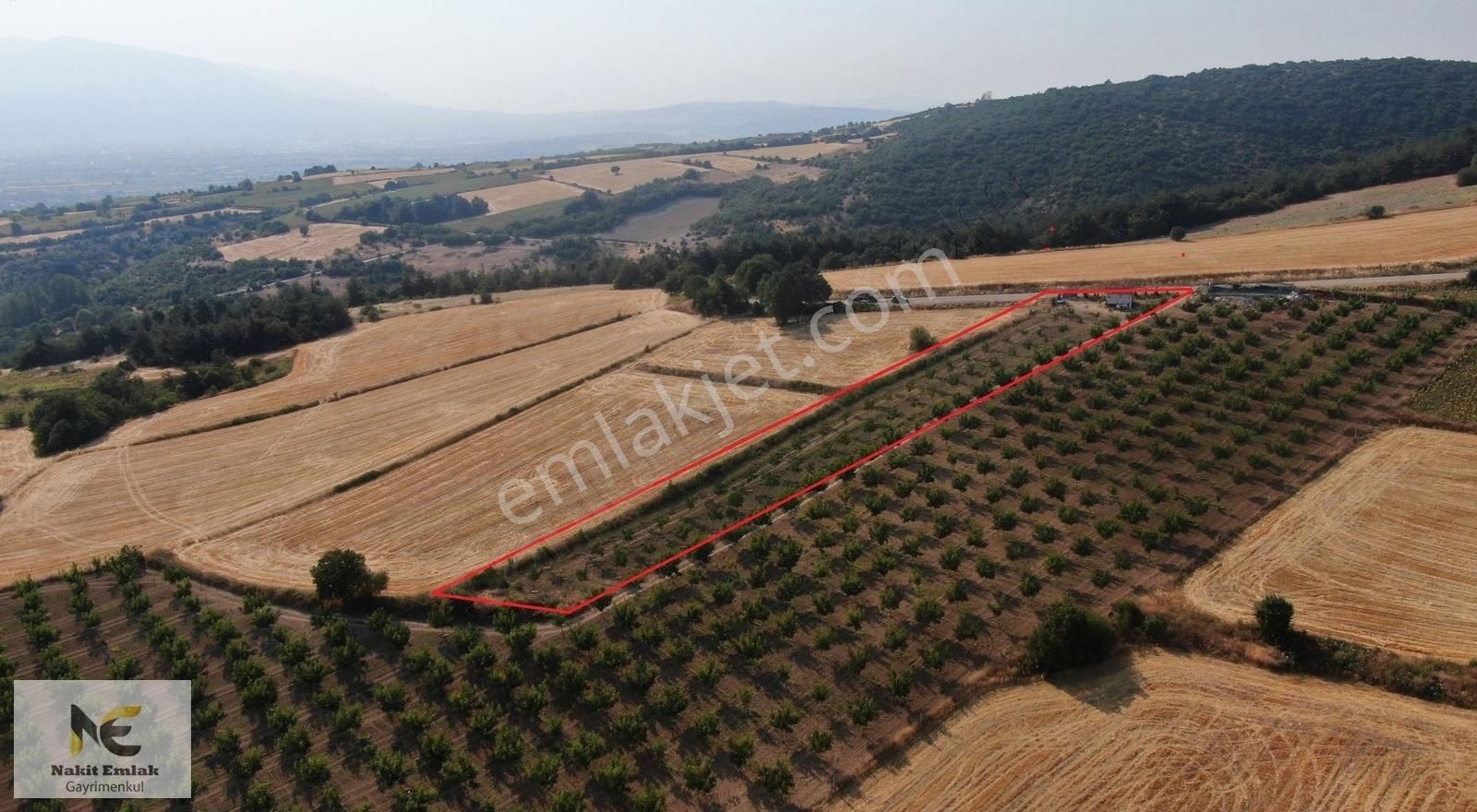 Asfalt'a 22m Cepheli Tel Örgülü 2333m2 Ceviz Bahçesi İnegöl 15dk - Görsel 21