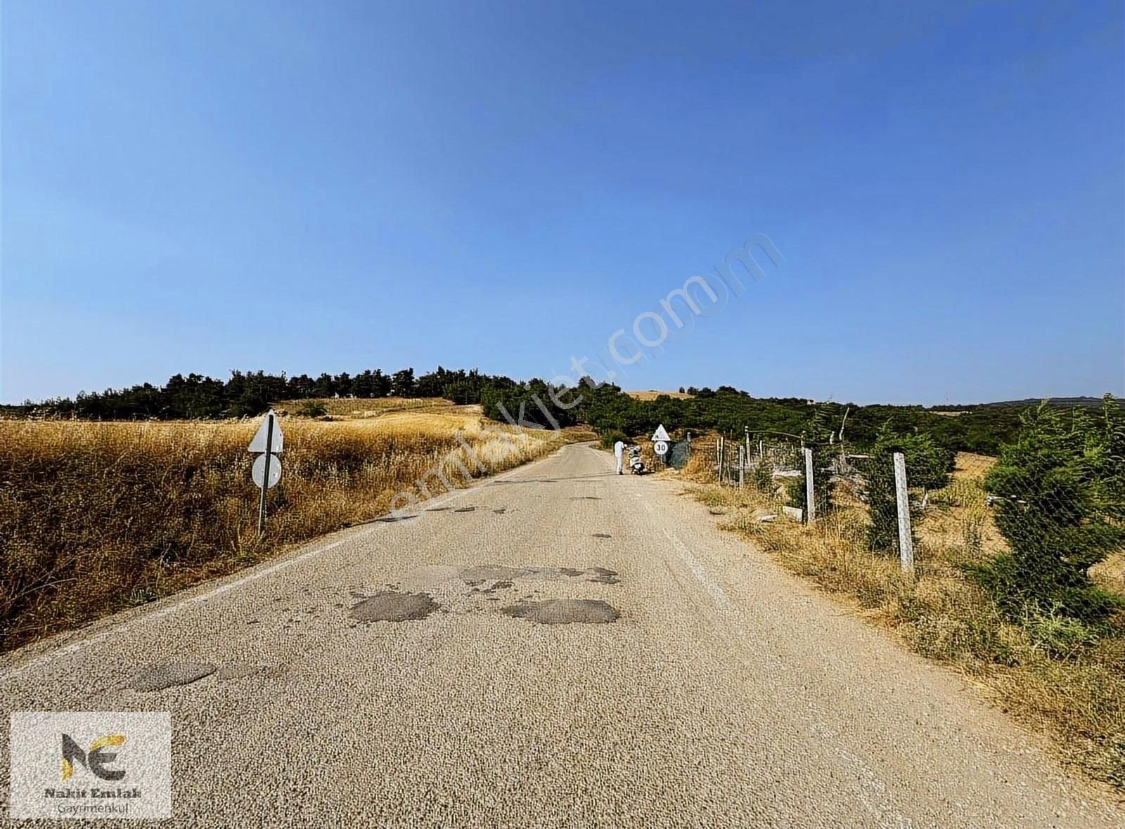 Asfalt'a 22m Cepheli Tel Örgülü 2333m2 Ceviz Bahçesi İnegöl 15dk - Görsel 6