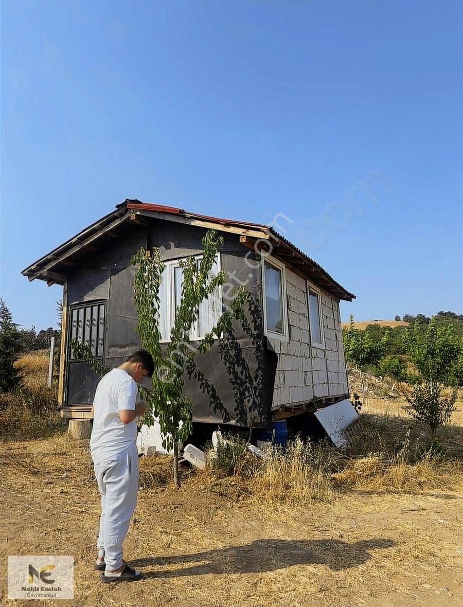 Asfalt'a 22m Cepheli Tel Örgülü 2333m2 Ceviz Bahçesi İnegöl 15dk - Görsel 17