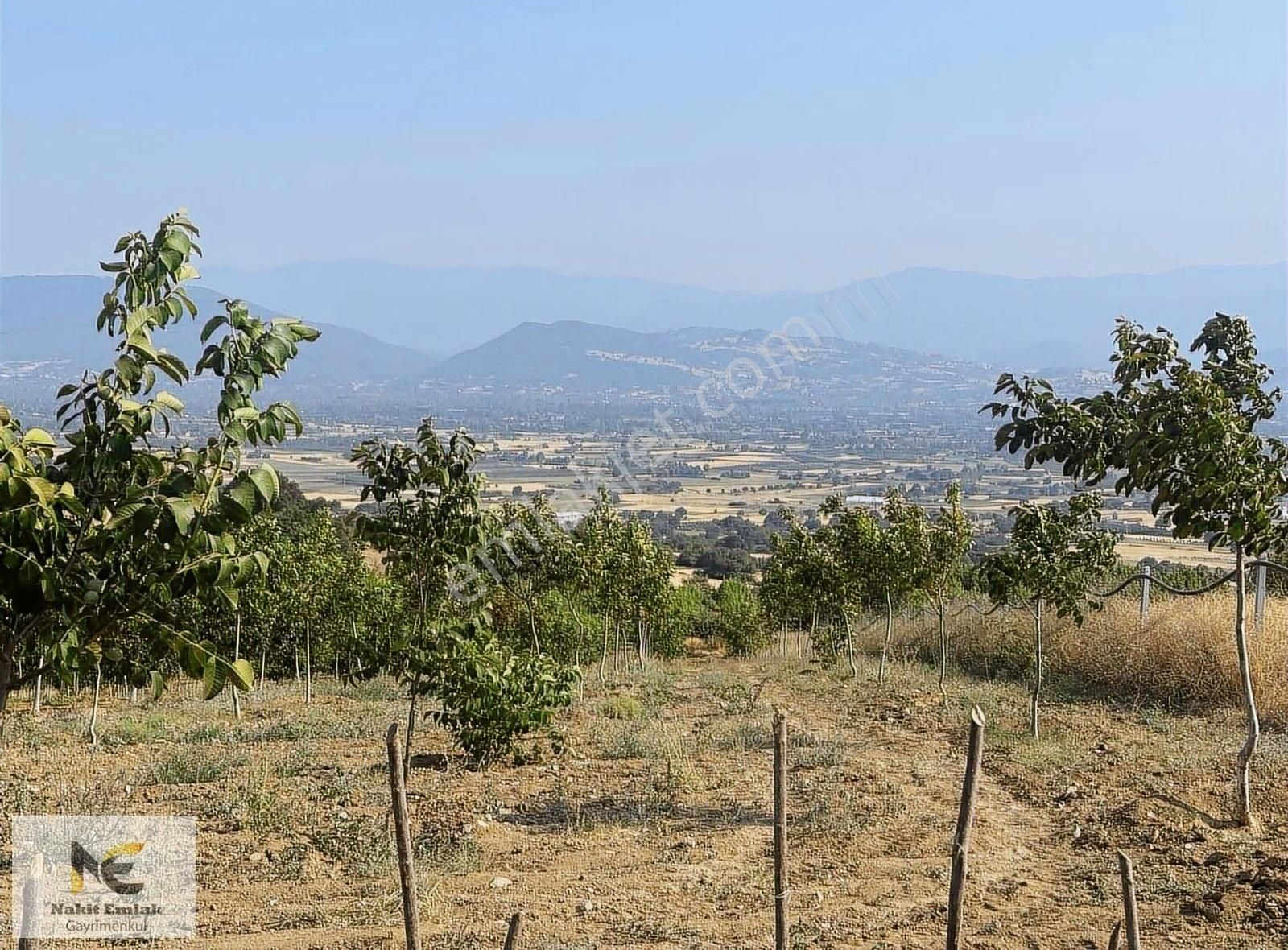 Asfalt'a 22m Cepheli Tel Örgülü 2333m2 Ceviz Bahçesi İnegöl 15dk - Görsel 23