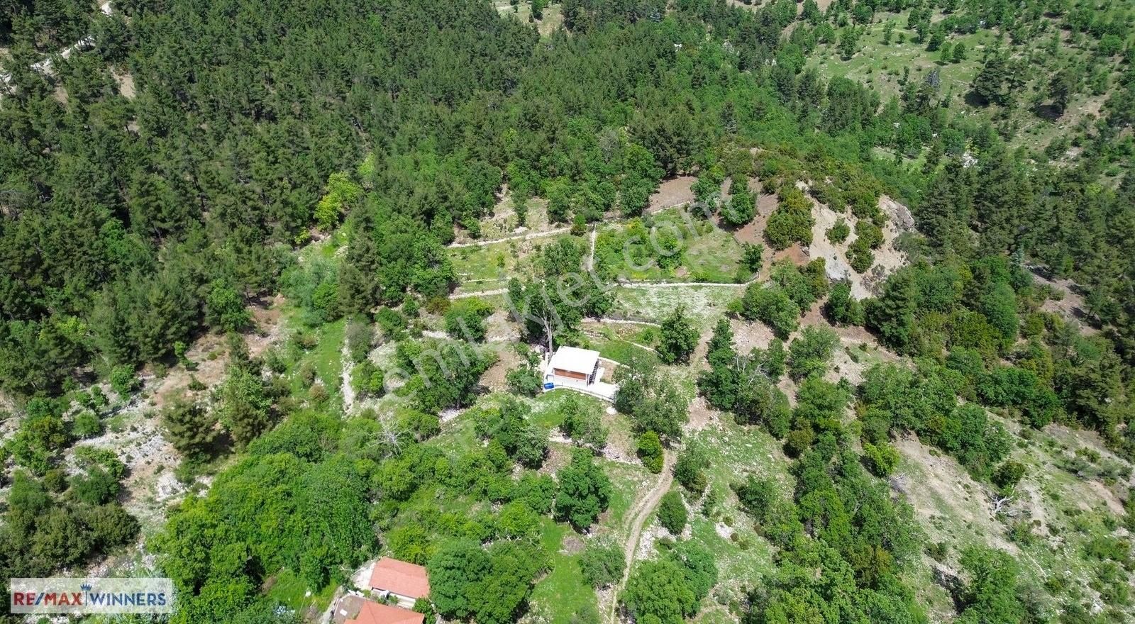Kumluca Gölcük Fındıklıda Değerlenen Bölgede Yatırımlık Tarla! - Görsel 15
