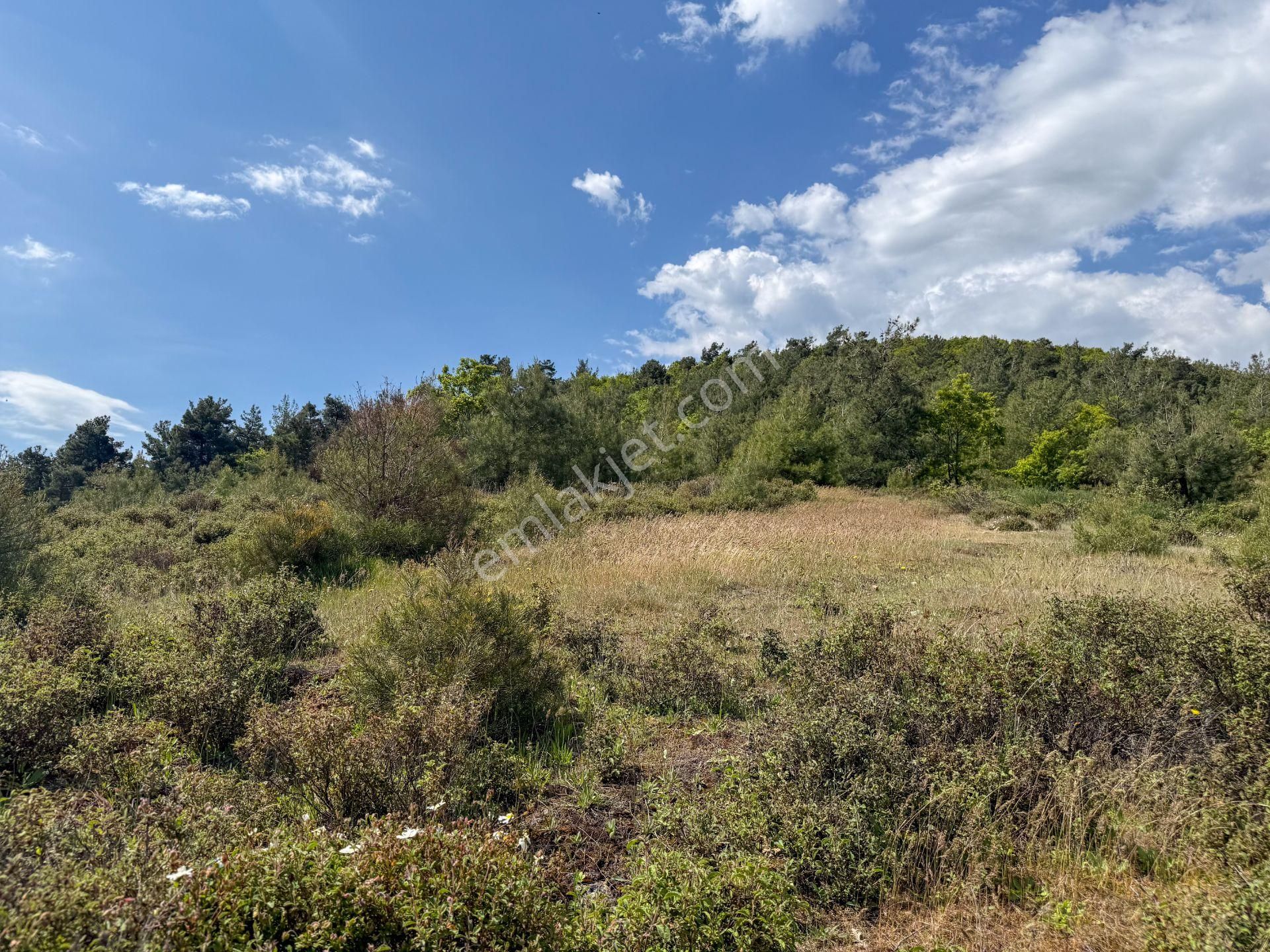 Çanakkale Çan Dondurma'da Köy İçi İmara Sınır Arsa - Görsel 20
