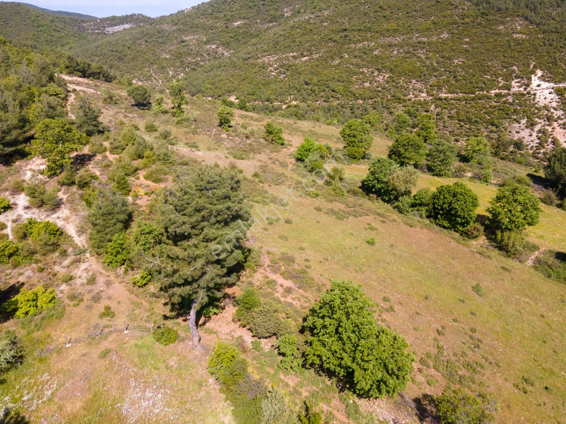 Çanakkale Çan Dondurma'da Köy İçi İmara Sınır Arsa - Görsel 15