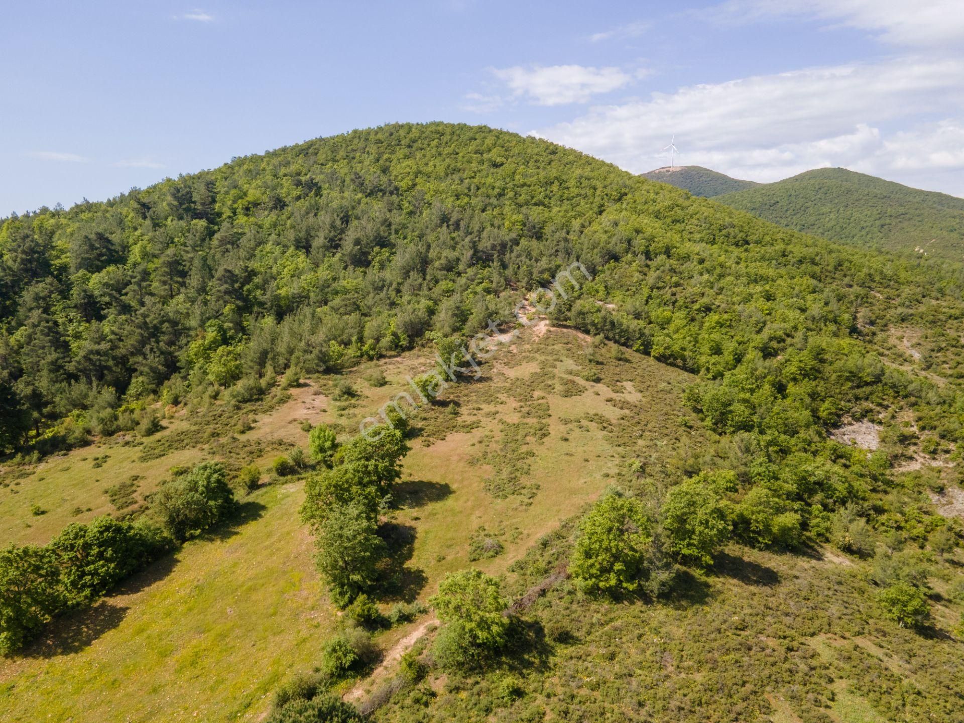 Çanakkale Çan Dondurma'da Köy İçi İmara Sınır Arsa - Görsel 14