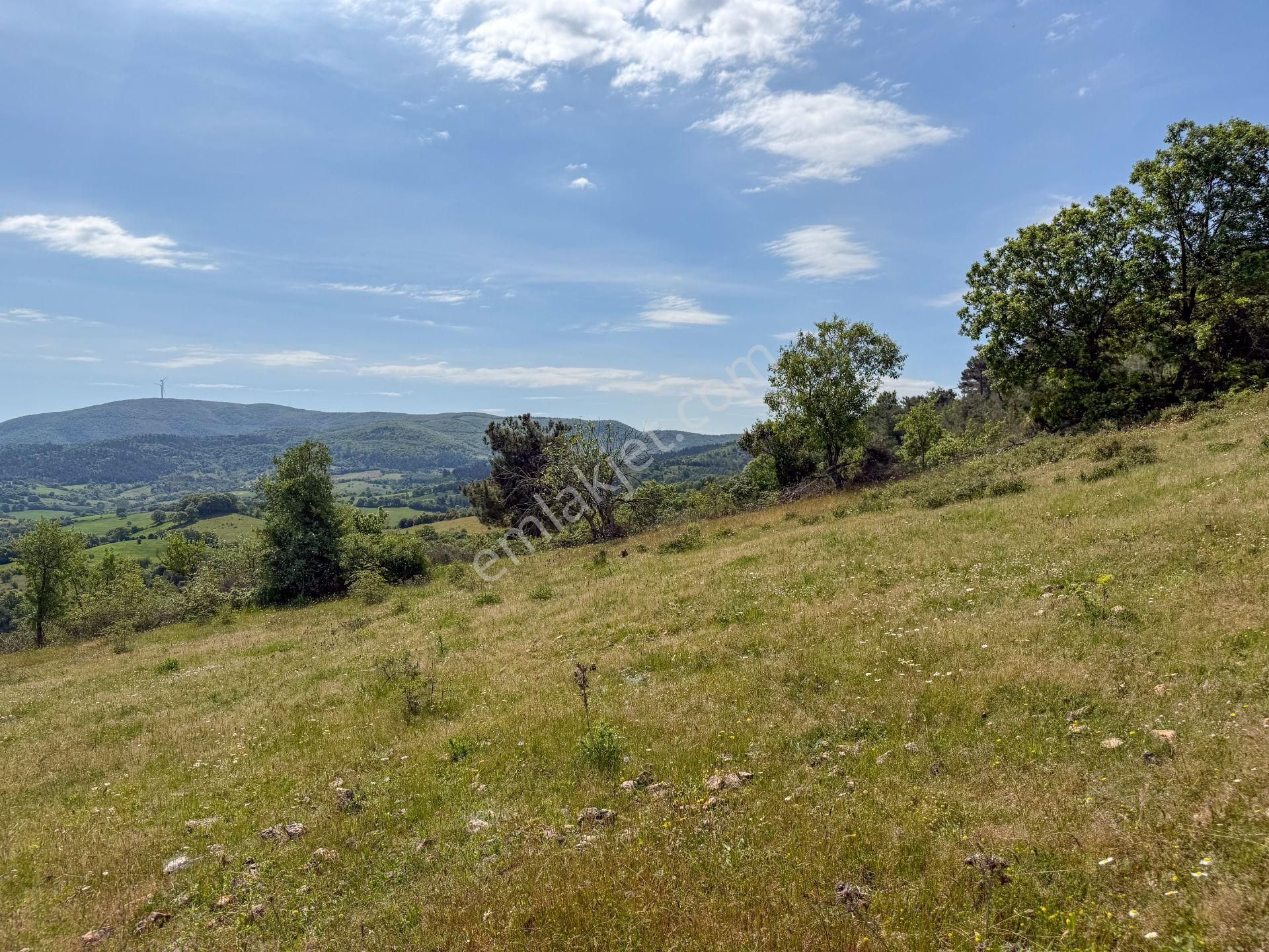 Çanakkale Çan Dondurma'da Köy İçi İmara Sınır Arsa - Görsel 31