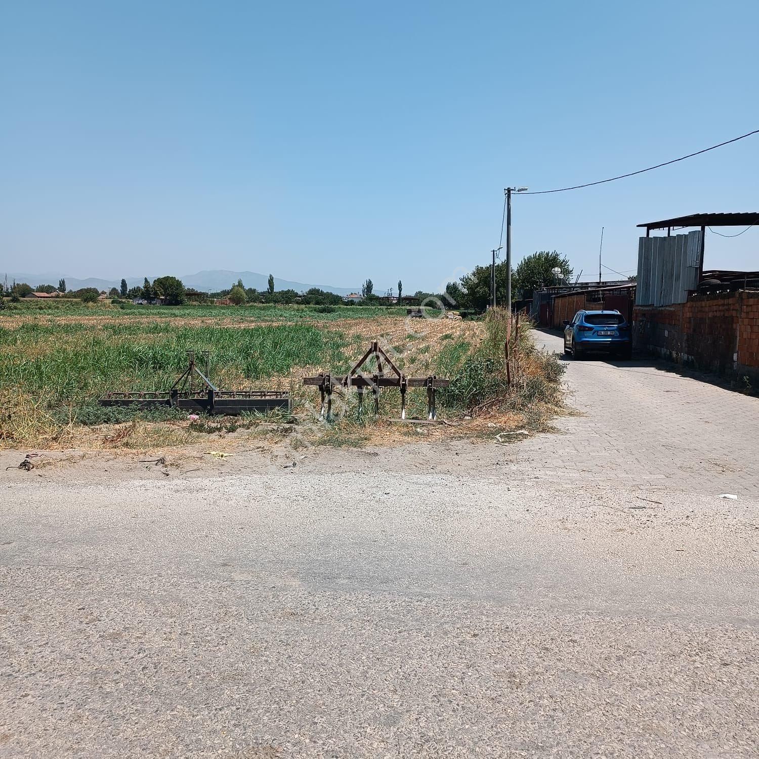 Bayındır Yeşilova Köyünde Yola Sıfır Satılık Tarla - Görsel 8