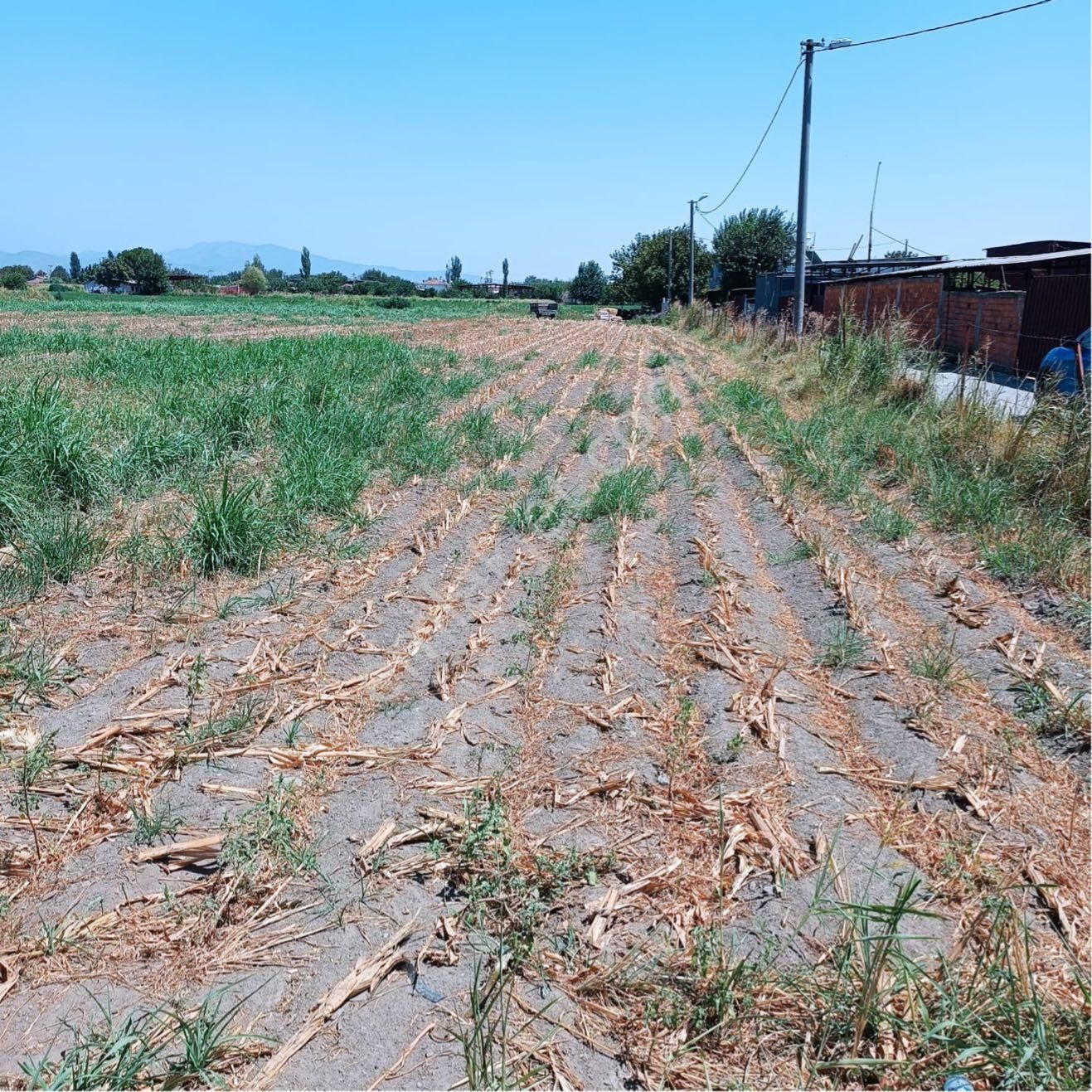 Bayındır Yeşilova Köyünde Yola Sıfır Satılık Tarla - Görsel 4