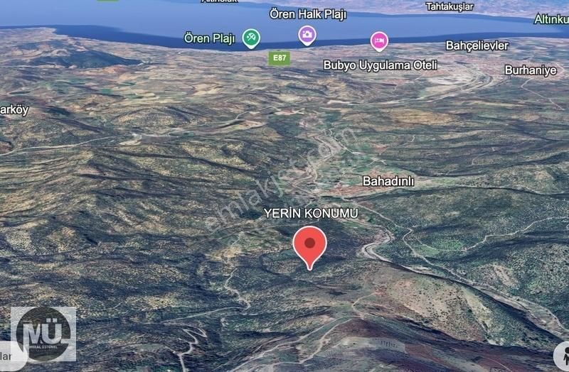 Balıkesir Burhaniye Yaylacık Mahallesi 8293 M2 Zeytinlik