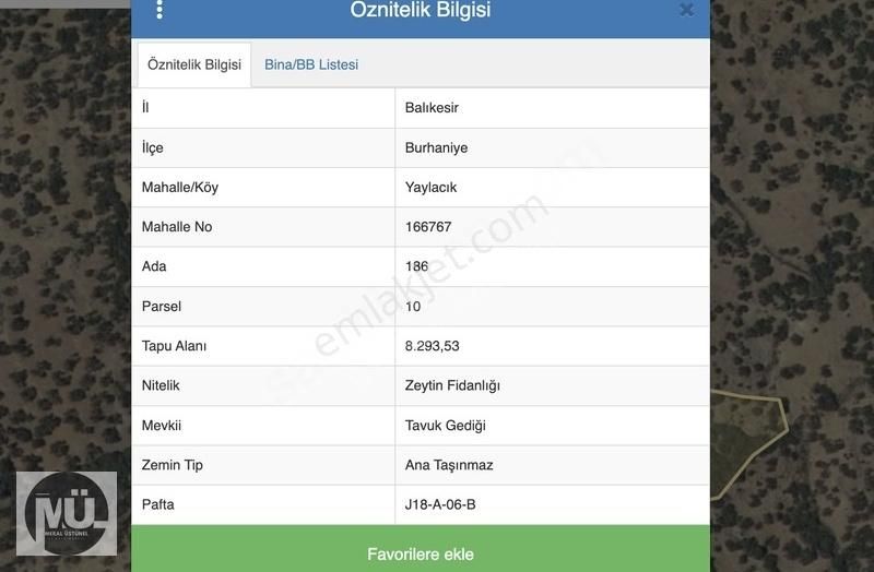 Balıkesir Burhaniye Yaylacık Mahallesi 8293 M2 Zeytinlik - Görsel 4