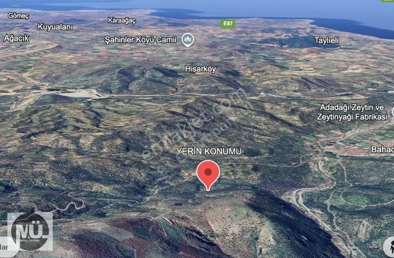 Balıkesir Burhaniye Yaylacık Mahallesi 8293 M2 Zeytinlik - Görsel 2
