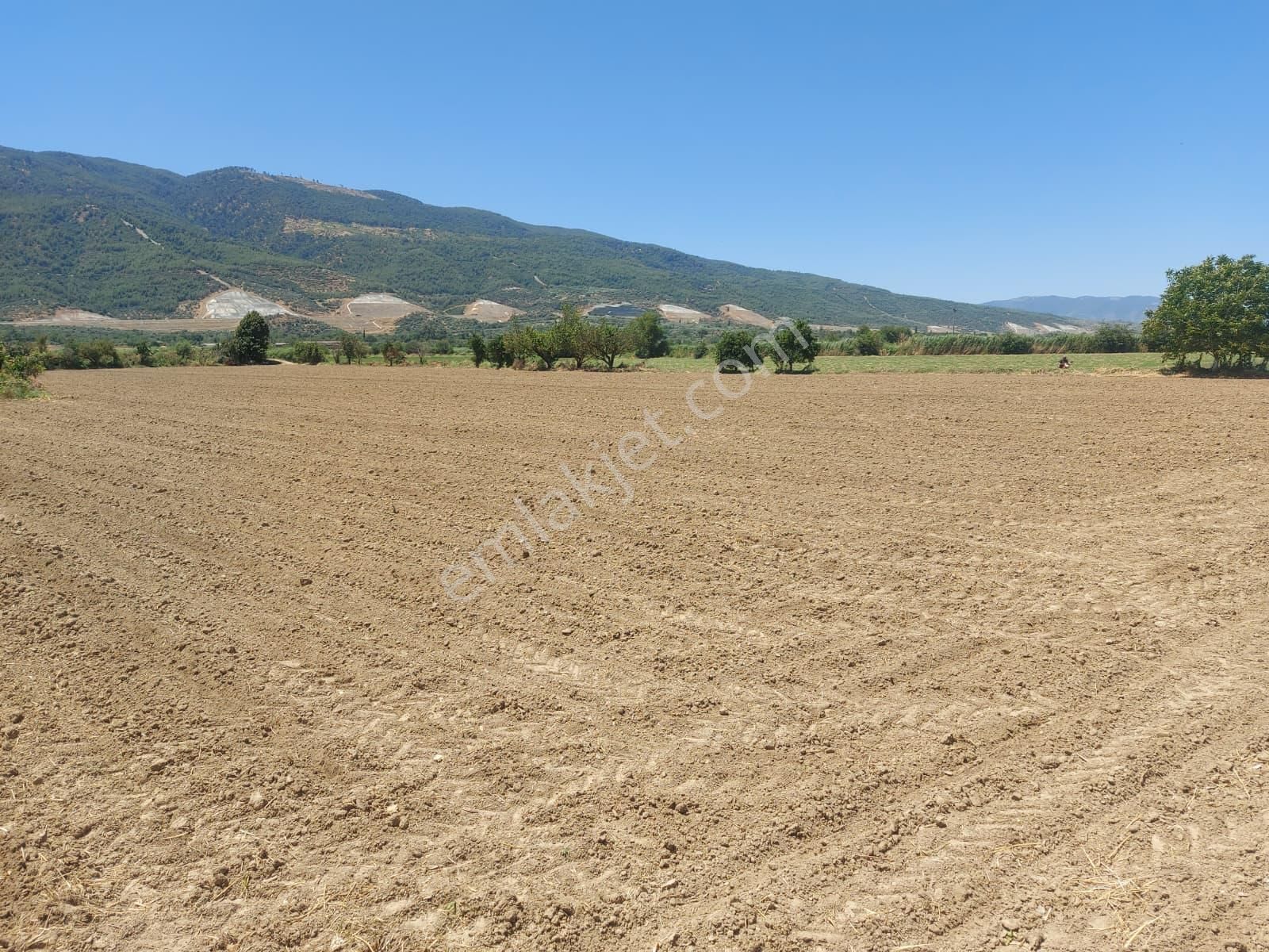 Sulama Derdi Olmayan, Yatırımlık Tarla Pazarlık Payı Vardır
