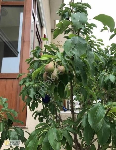 Yemyeşil Sitede___300 M2 Triplex__müstakil Bahçeli __eşsiz Villa