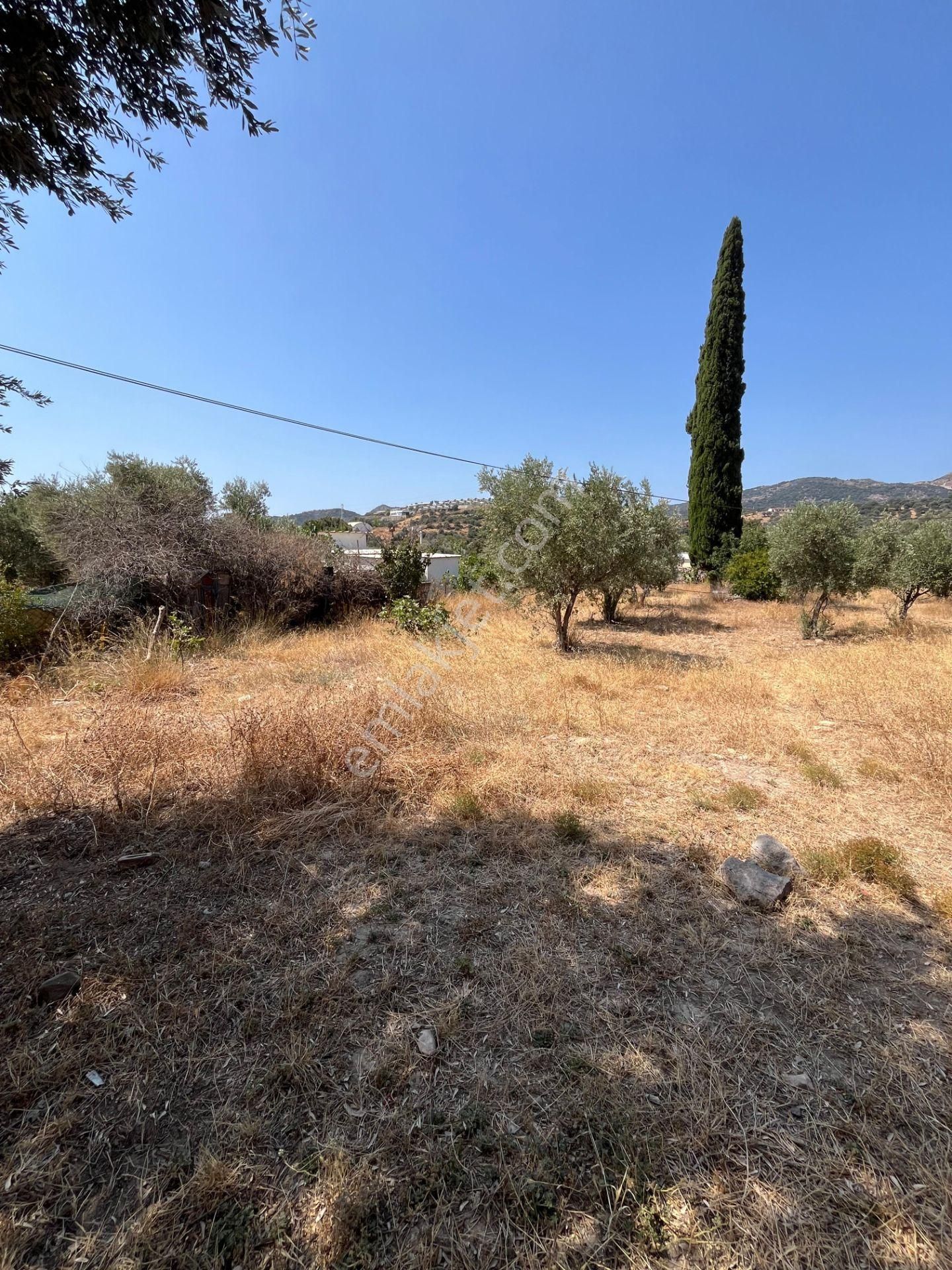 Bodrum Ortakent'te Satılık Tarla - Görsel 2