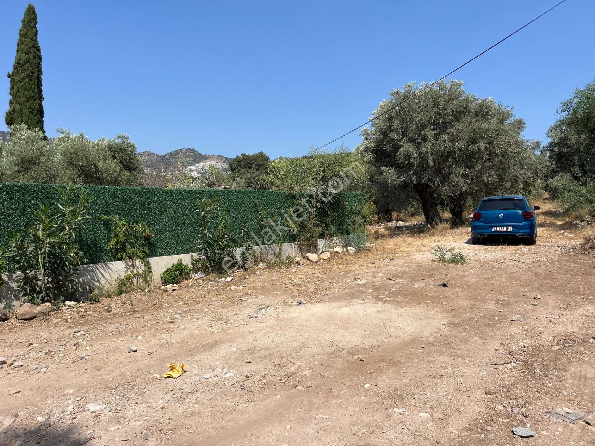 Bodrum Ortakent'te Satılık Tarla - Görsel 6