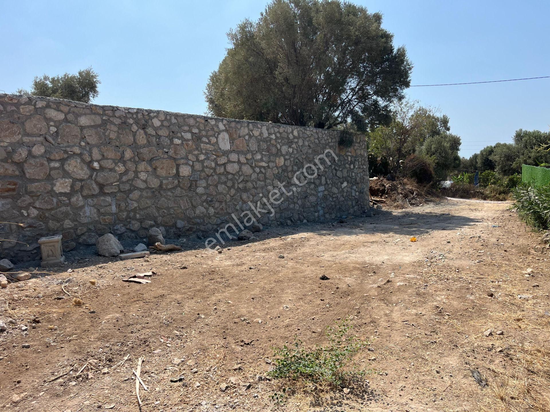 Bodrum Ortakent'te Satılık Tarla - Görsel 7