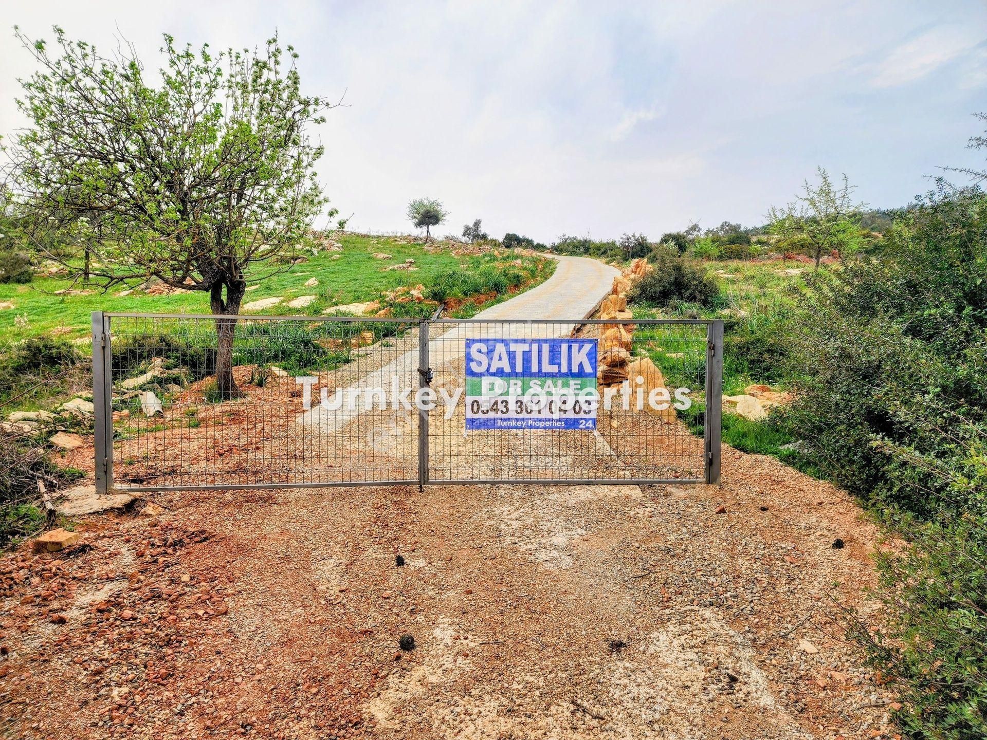 Bodrum Kumköyde 11.555 M² Yatırım Değeri Yüksek Satılık Arazi - Görsel 4