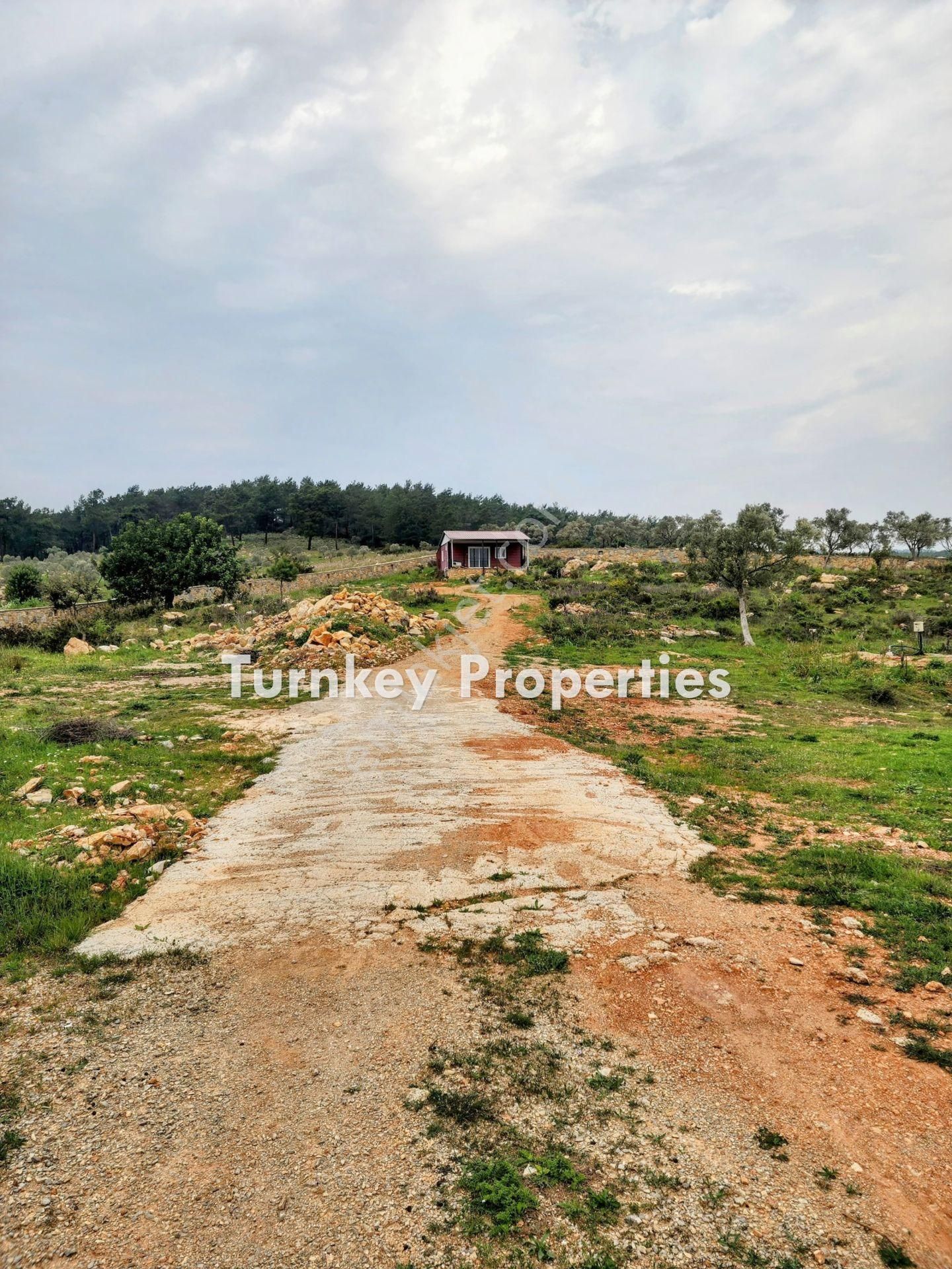Bodrum Kumköyde 11.555 M² Yatırım Değeri Yüksek Satılık Arazi - Görsel 6