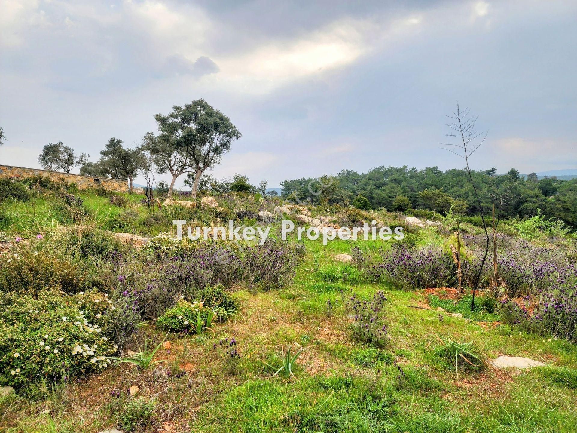 Bodrum Kumköyde 11.555 M² Yatırım Değeri Yüksek Satılık Arazi - Görsel 5