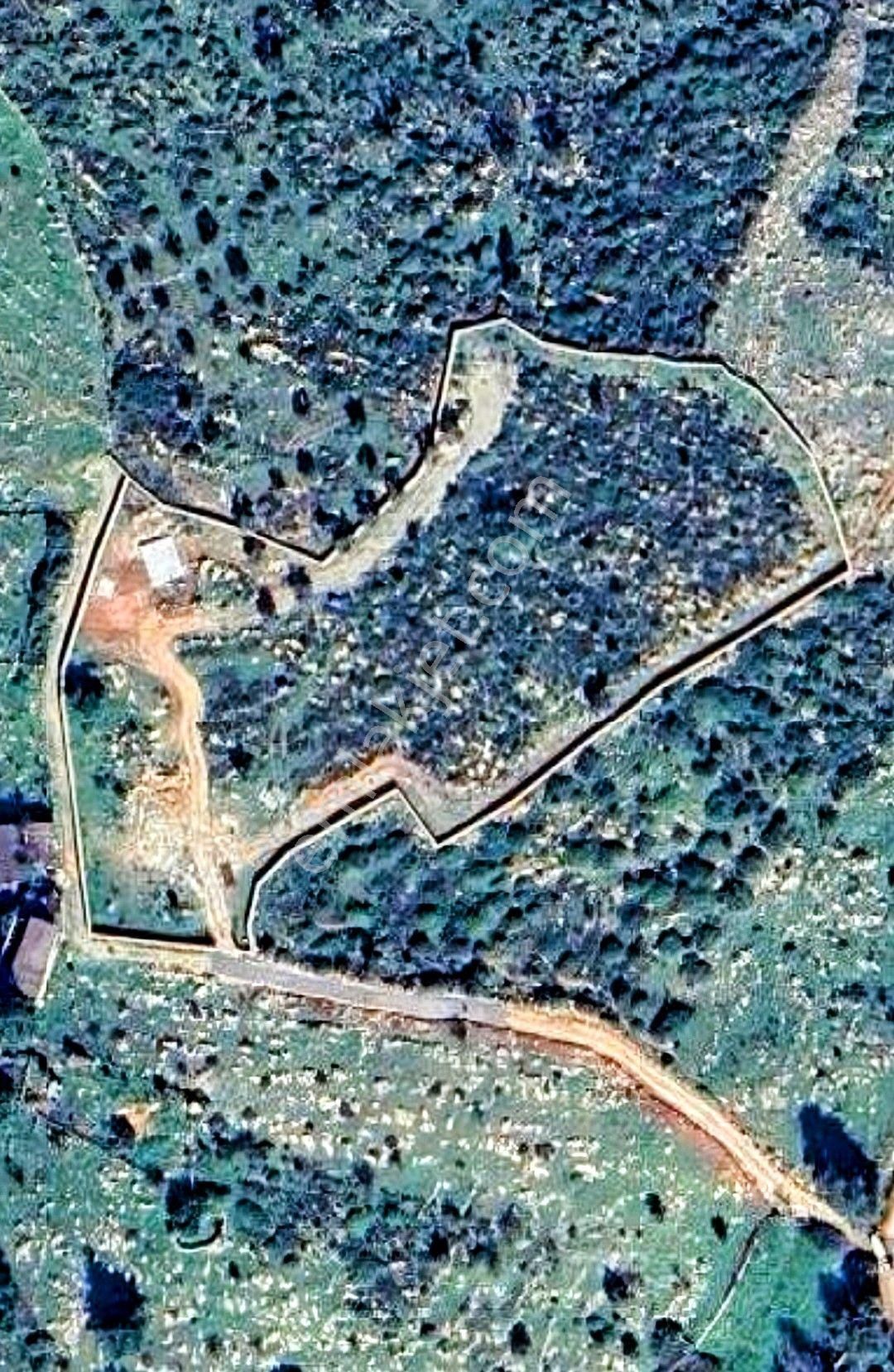 Bodrum Kumköyde 11.555 M² Yatırım Değeri Yüksek Satılık Arazi - Görsel 17