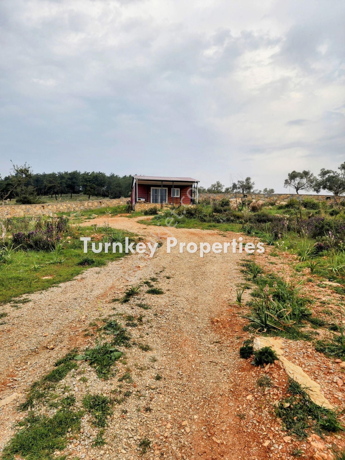 Bodrum Kumköyde 11.555 M² Yatırım Değeri Yüksek Satılık Arazi - Görsel 13