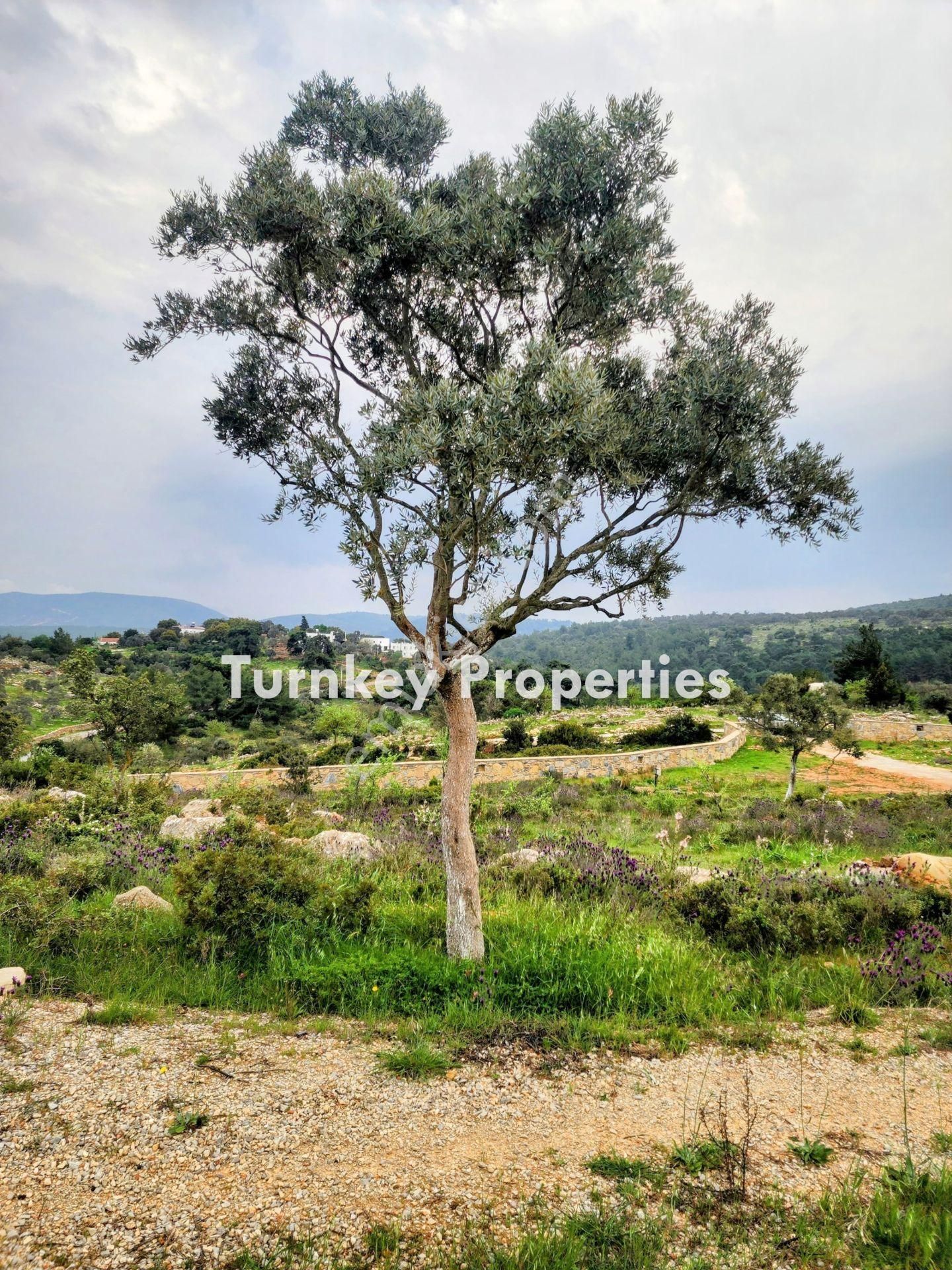 Bodrum Kumköyde 11.555 M² Yatırım Değeri Yüksek Satılık Arazi - Görsel 7