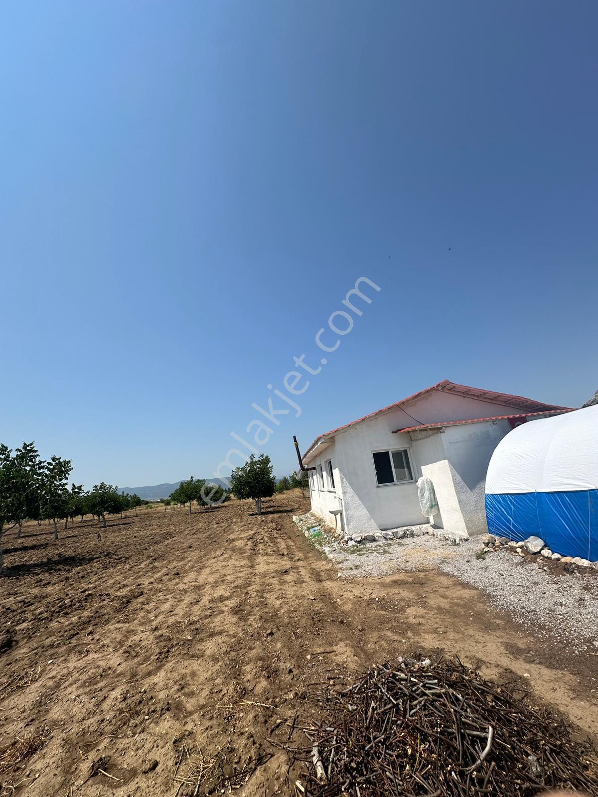 Şahin Büke Emlaktan Denizli Acıpayam Dodurga Mah. Satılık 6.156m² Ceviz Bahçesi - Görsel 6