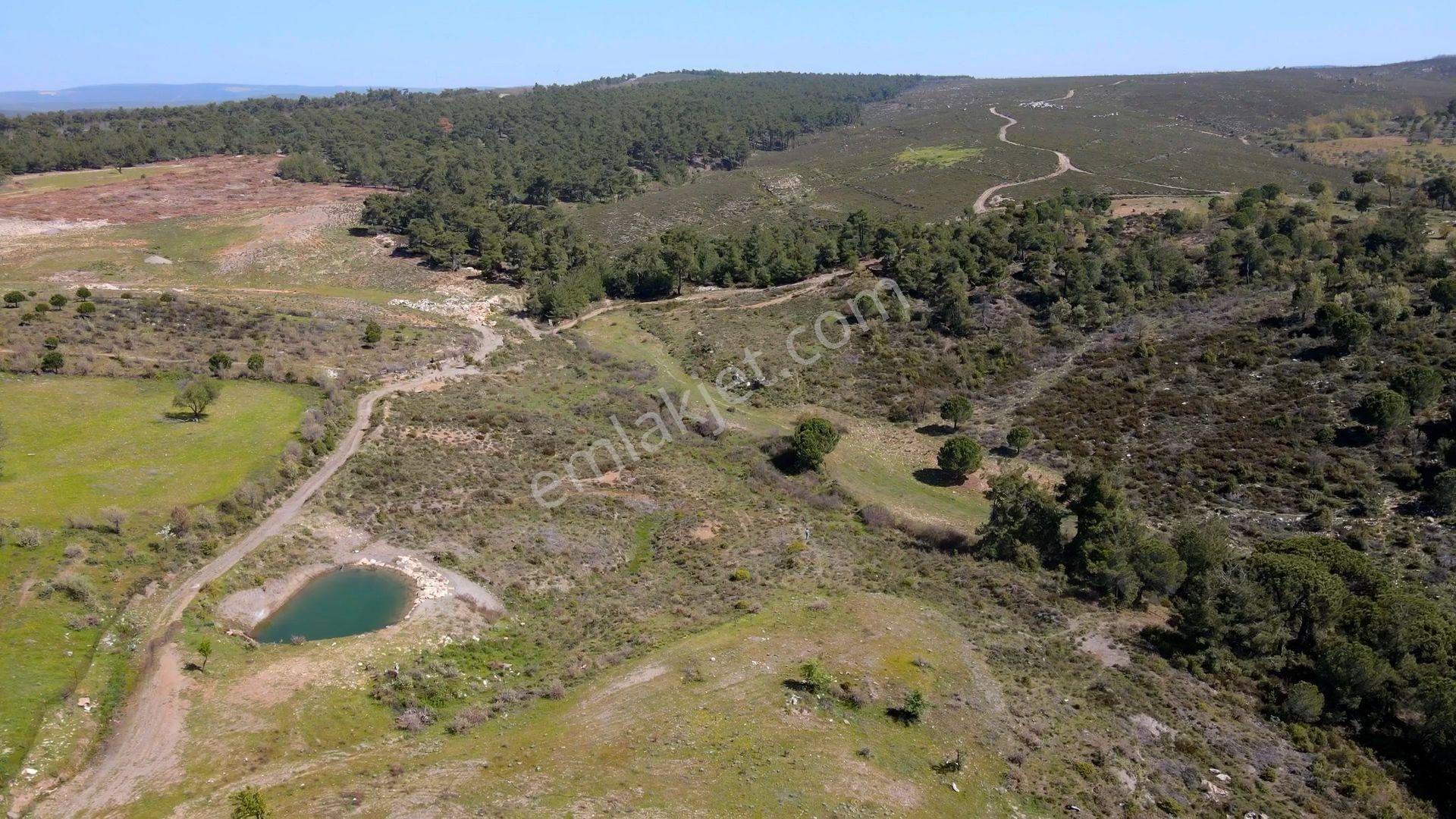 Çanakkale Ezine'de Köye 200 Metre İmara Sınır Tarla - Görsel 5