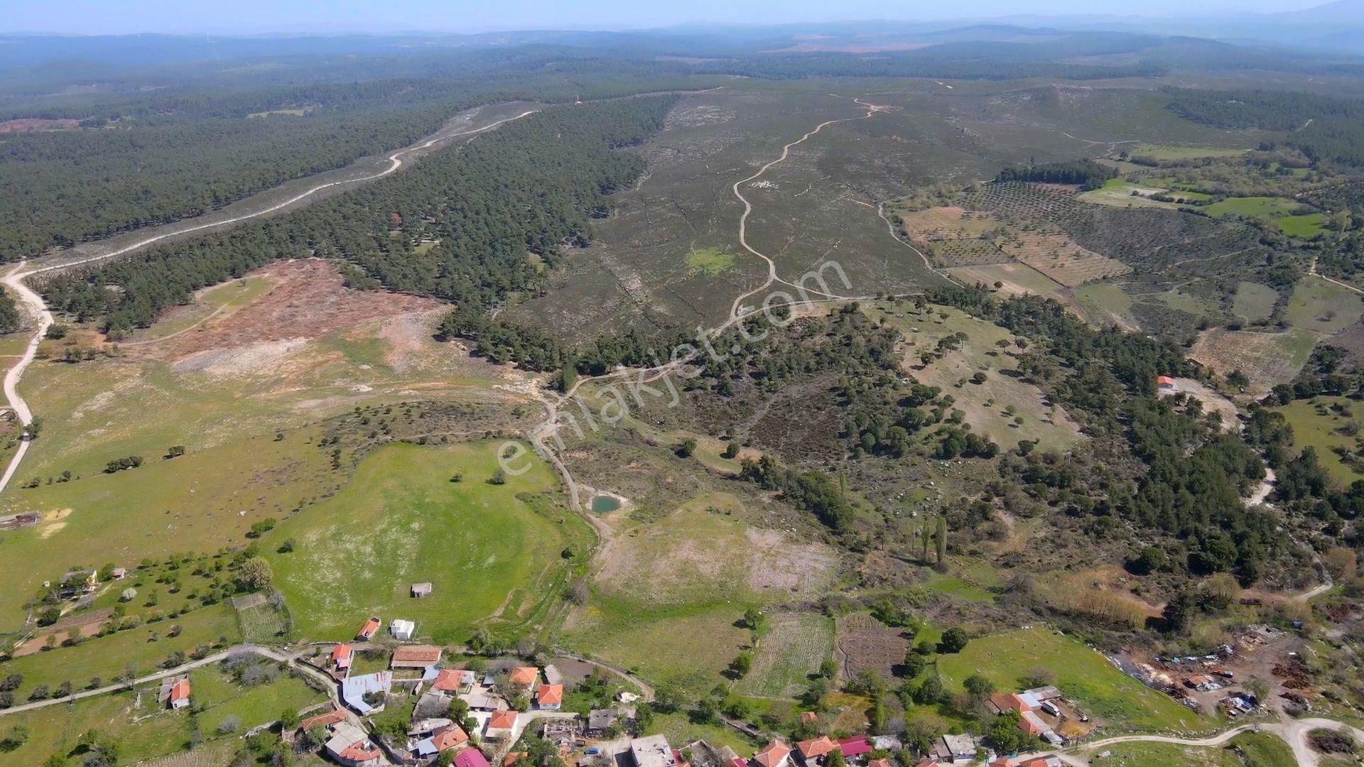 Çanakkale Ezine'de Köye 200 Metre İmara Sınır Tarla - Görsel 9