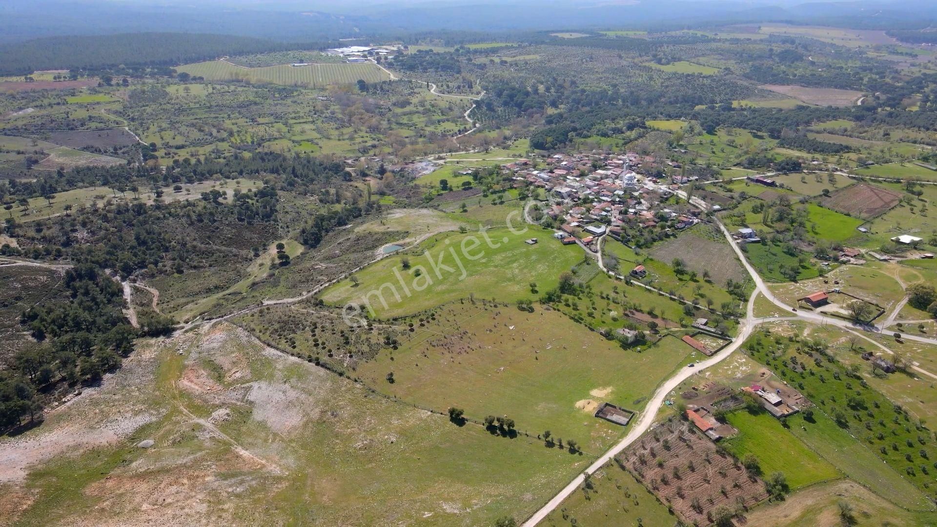 Çanakkale Ezine'de Köye 200 Metre İmara Sınır Tarla - Görsel 11