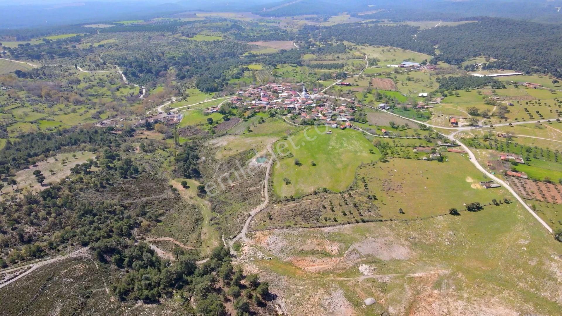 Çanakkale Ezine'de Köye 200 Metre İmara Sınır Tarla - Görsel 8