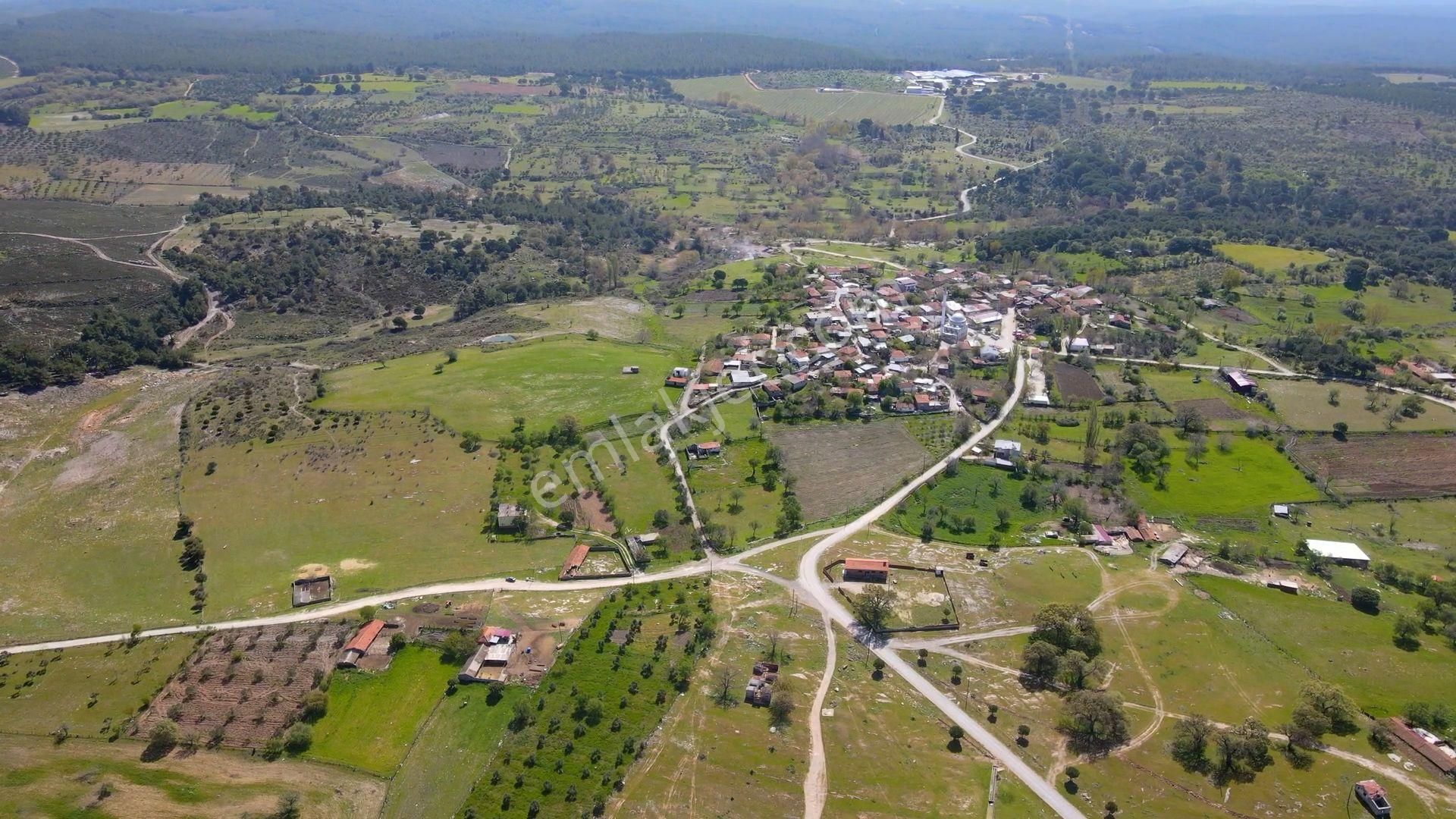 Çanakkale Ezine'de Köye 200 Metre İmara Sınır Tarla - Görsel 12