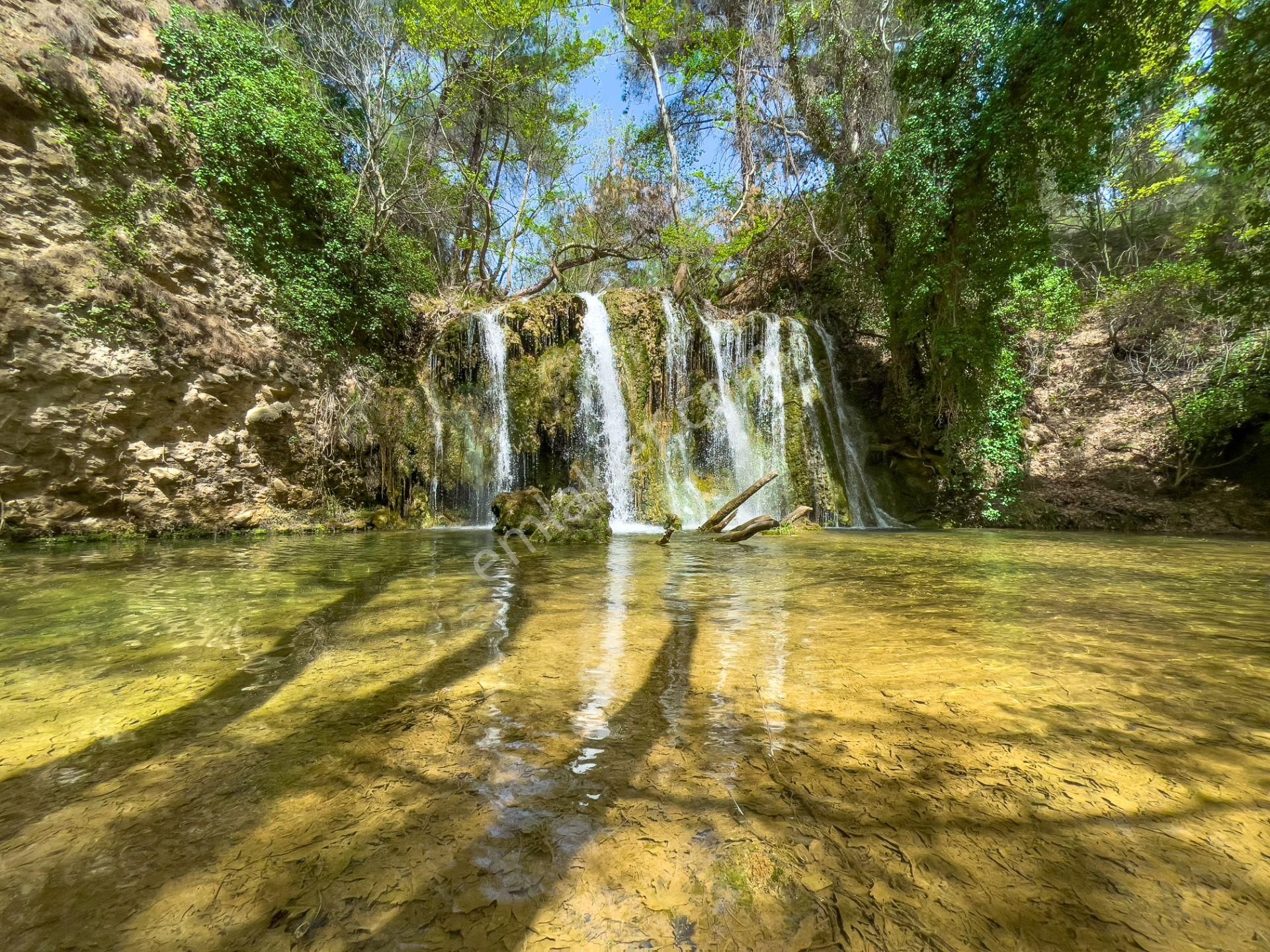 Çanakkale Ezine'de Köye 200 Metre İmara Sınır Tarla - Görsel 20