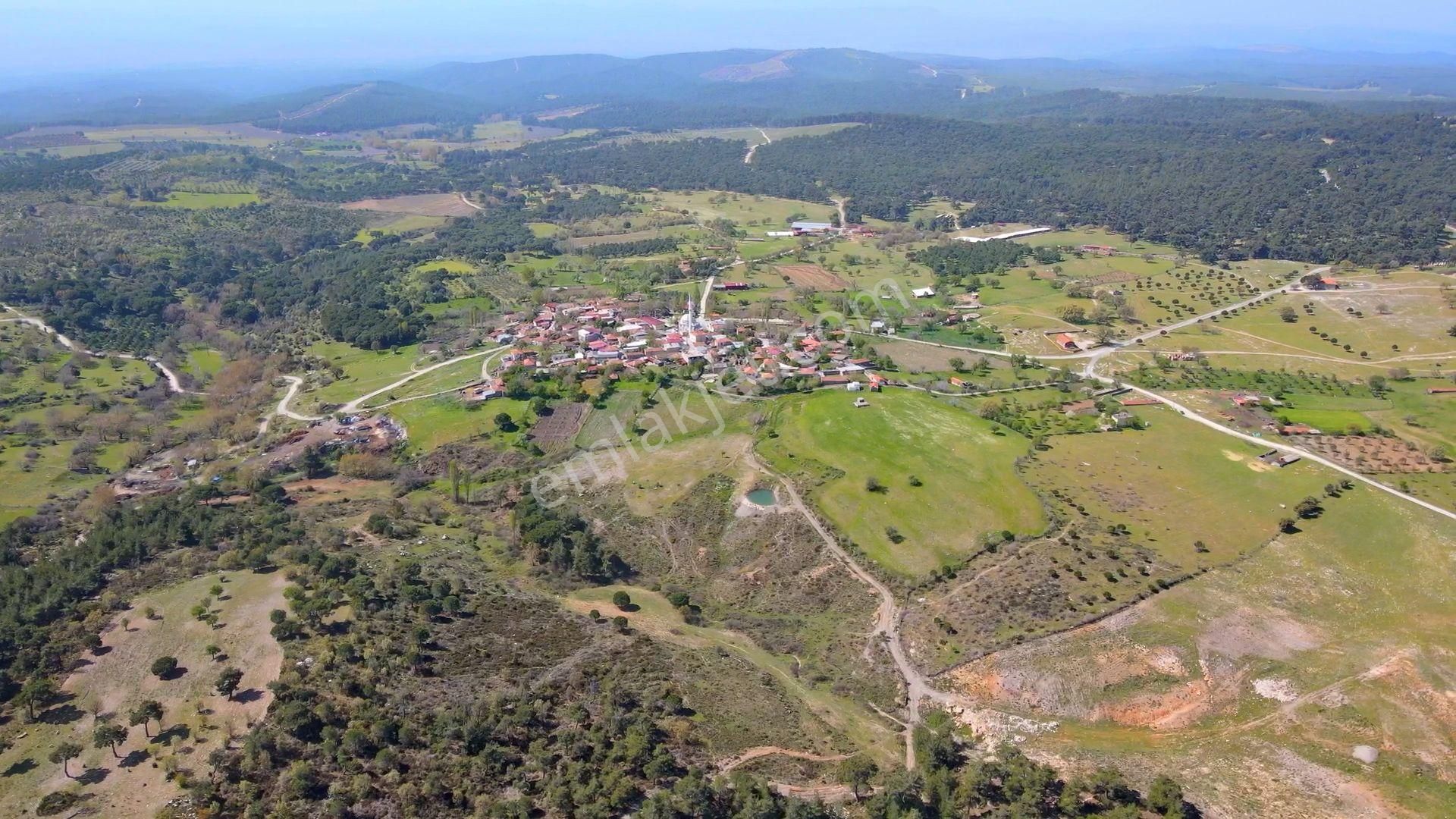 Çanakkale Ezine'de Köye 200 Metre İmara Sınır Tarla - Görsel 4