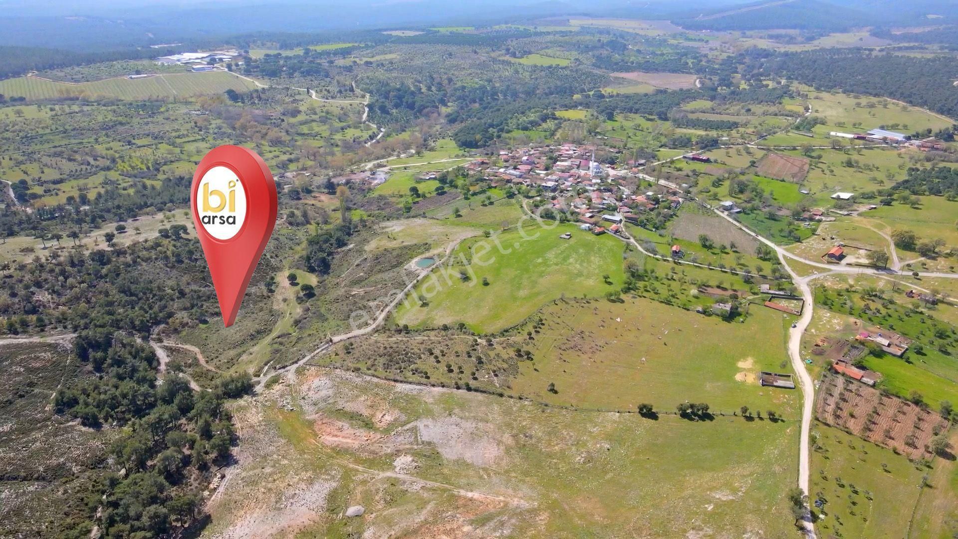 Çanakkale Ezine'de Köye 200 Metre İmara Sınır Tarla - Görsel 15