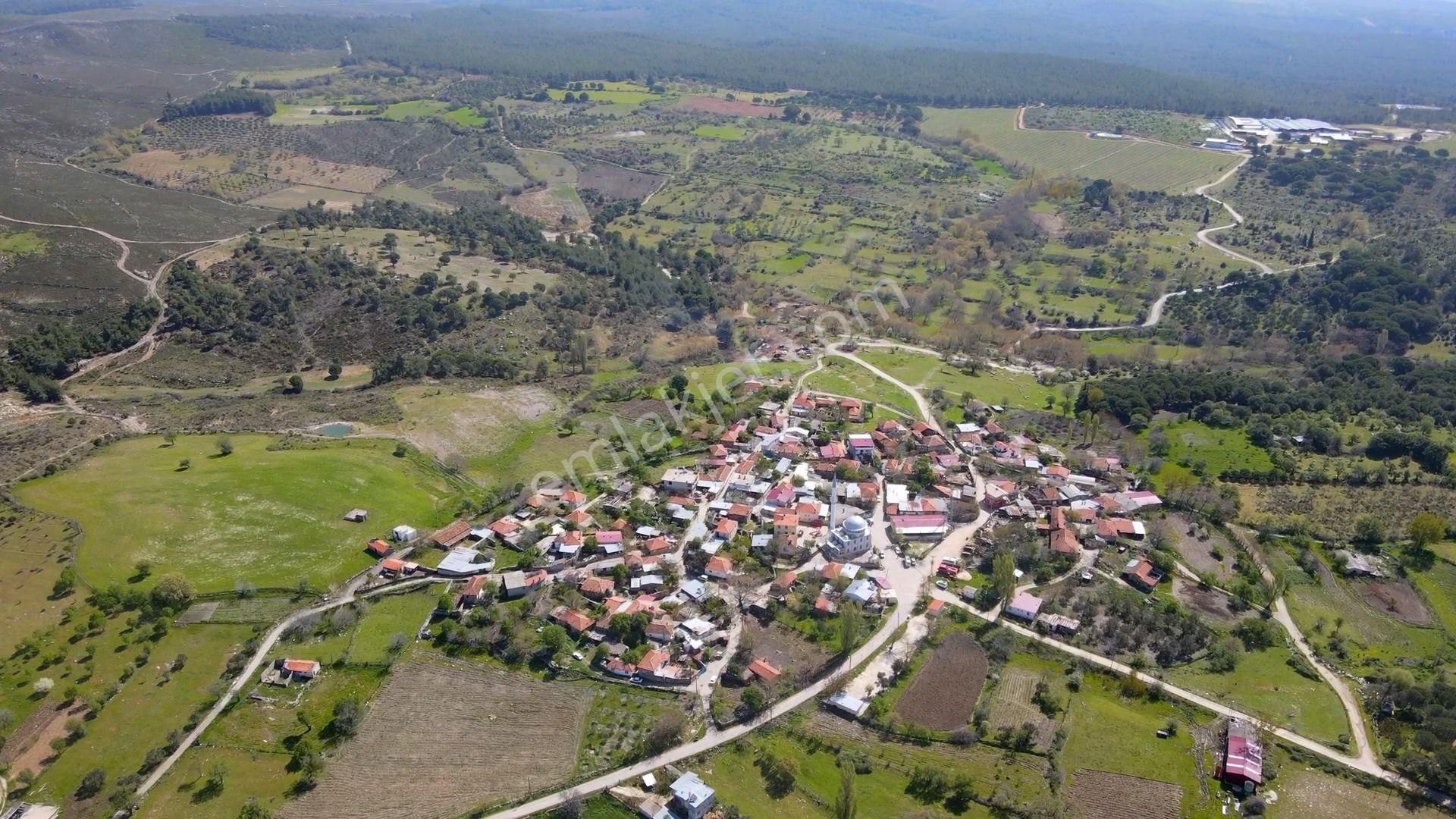 Çanakkale Ezine'de Köye 200 Metre İmara Sınır Tarla - Görsel 14