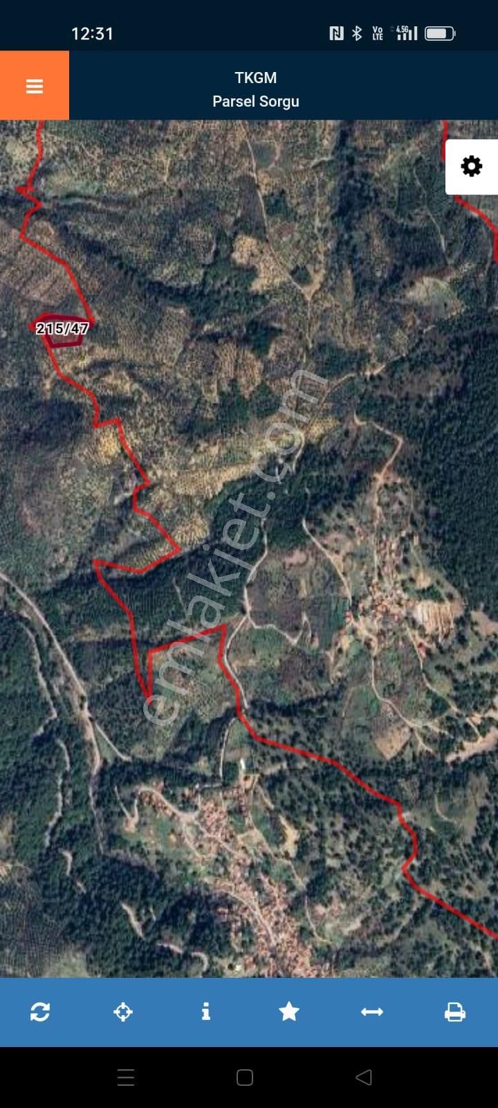 Buse Emlaktan Burhaniye Avunduk Mahallesinde Yatırımlık Zeytinlik - Görsel 3